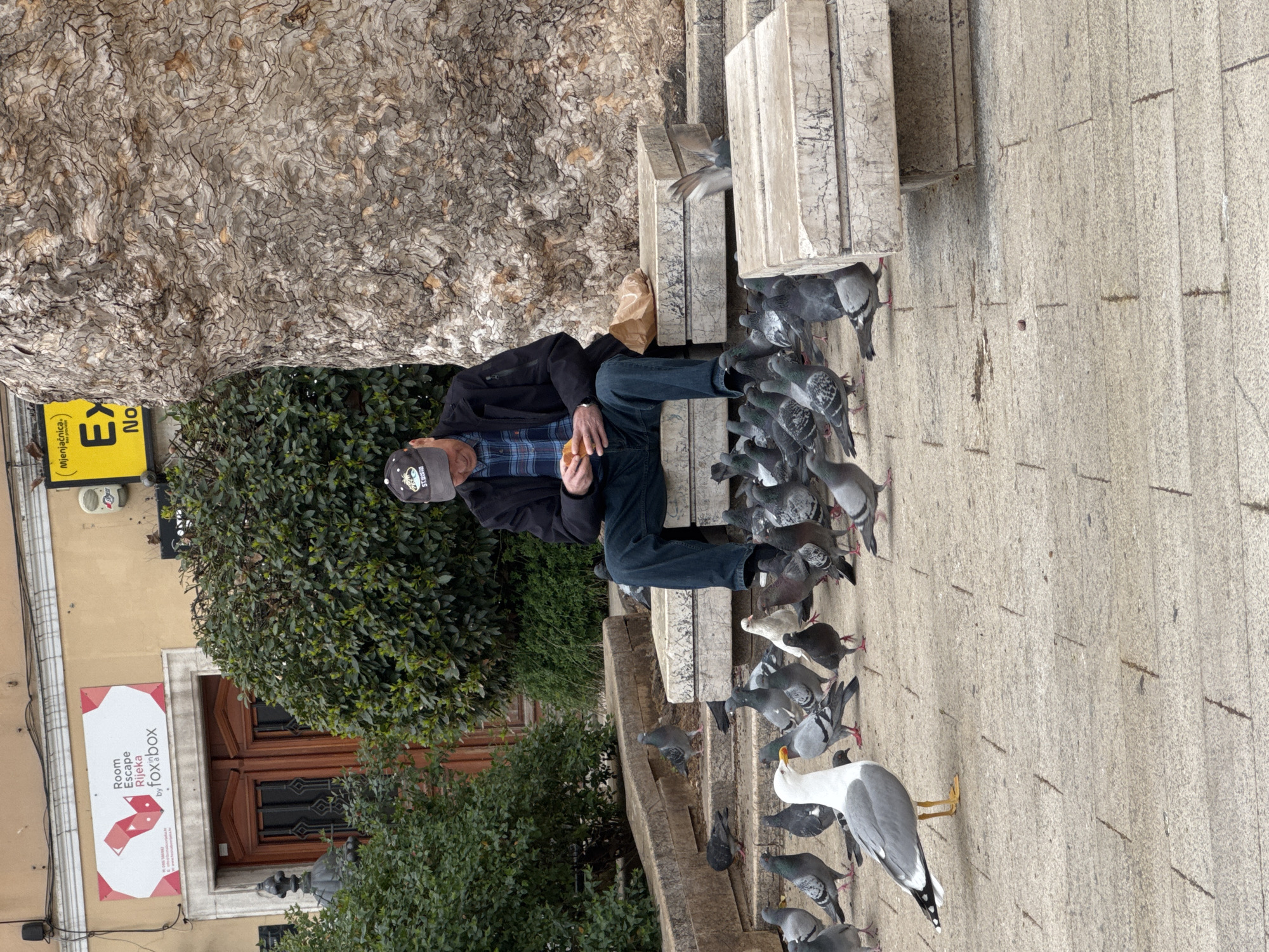 Everyday street life documented across Rijeka city center