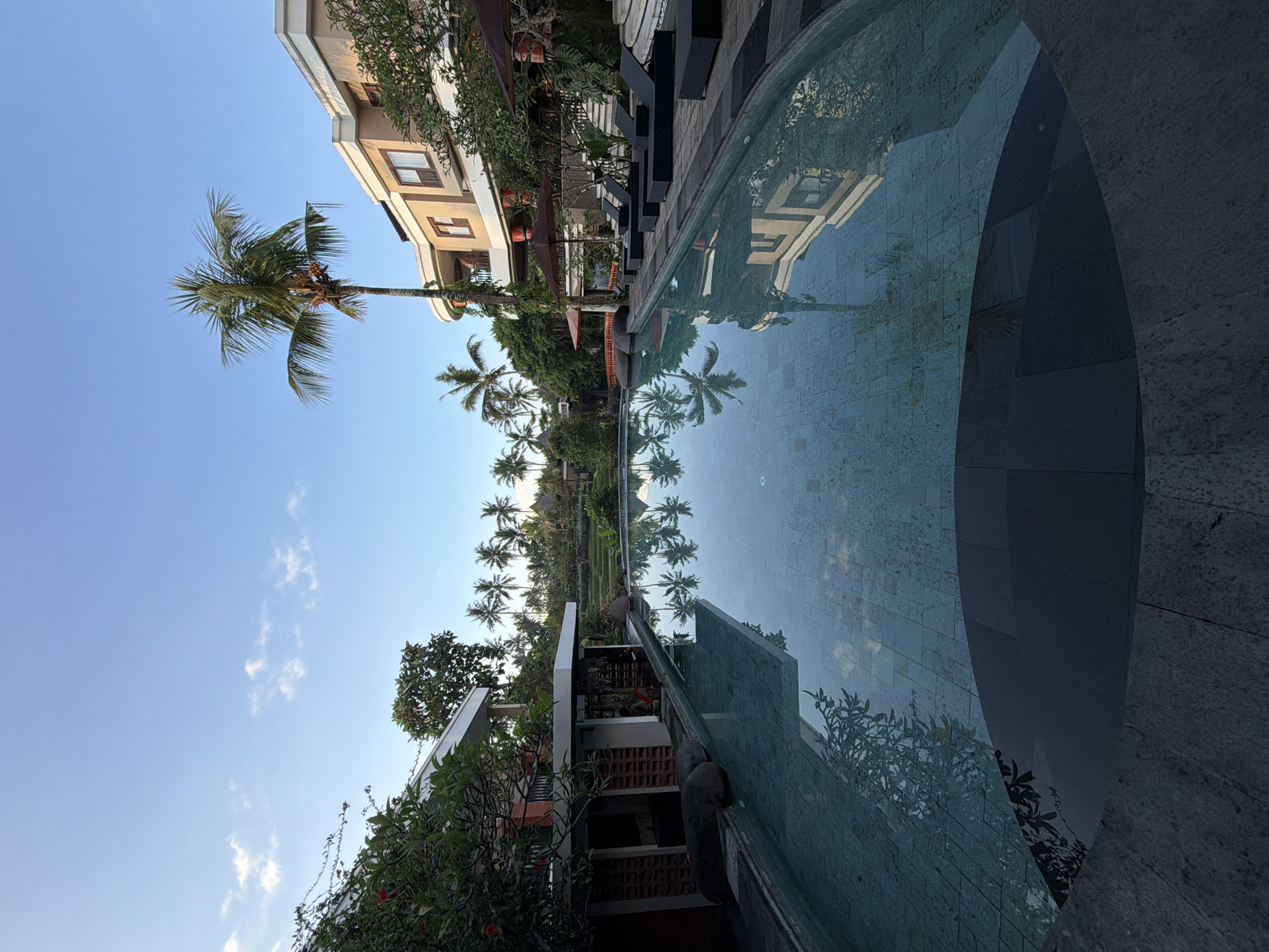 Swimming pool reflects buildings, palm trees in Peliatan, Indonesia