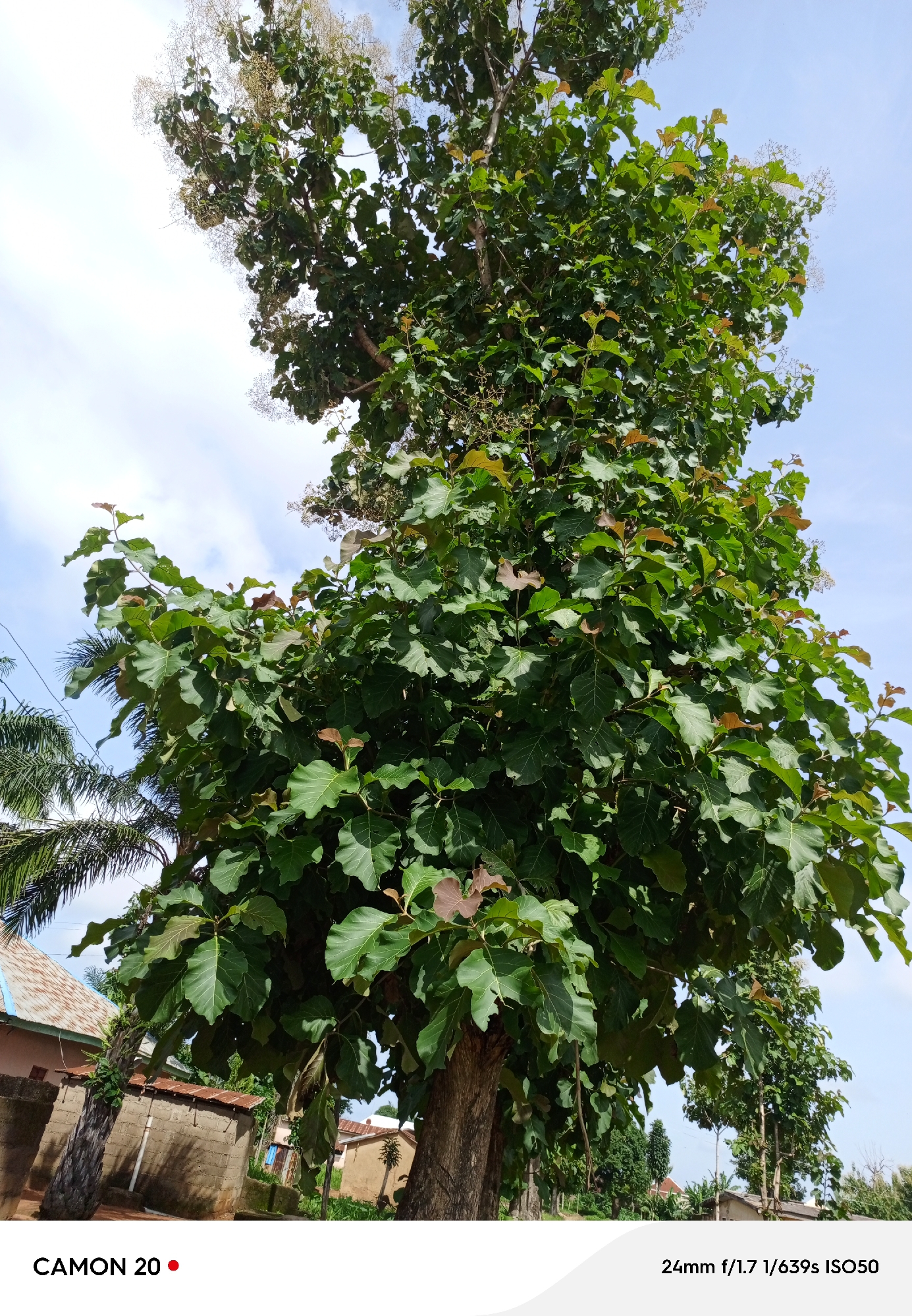 Everyday scenes from a quiet morning in Takau, Nigeria