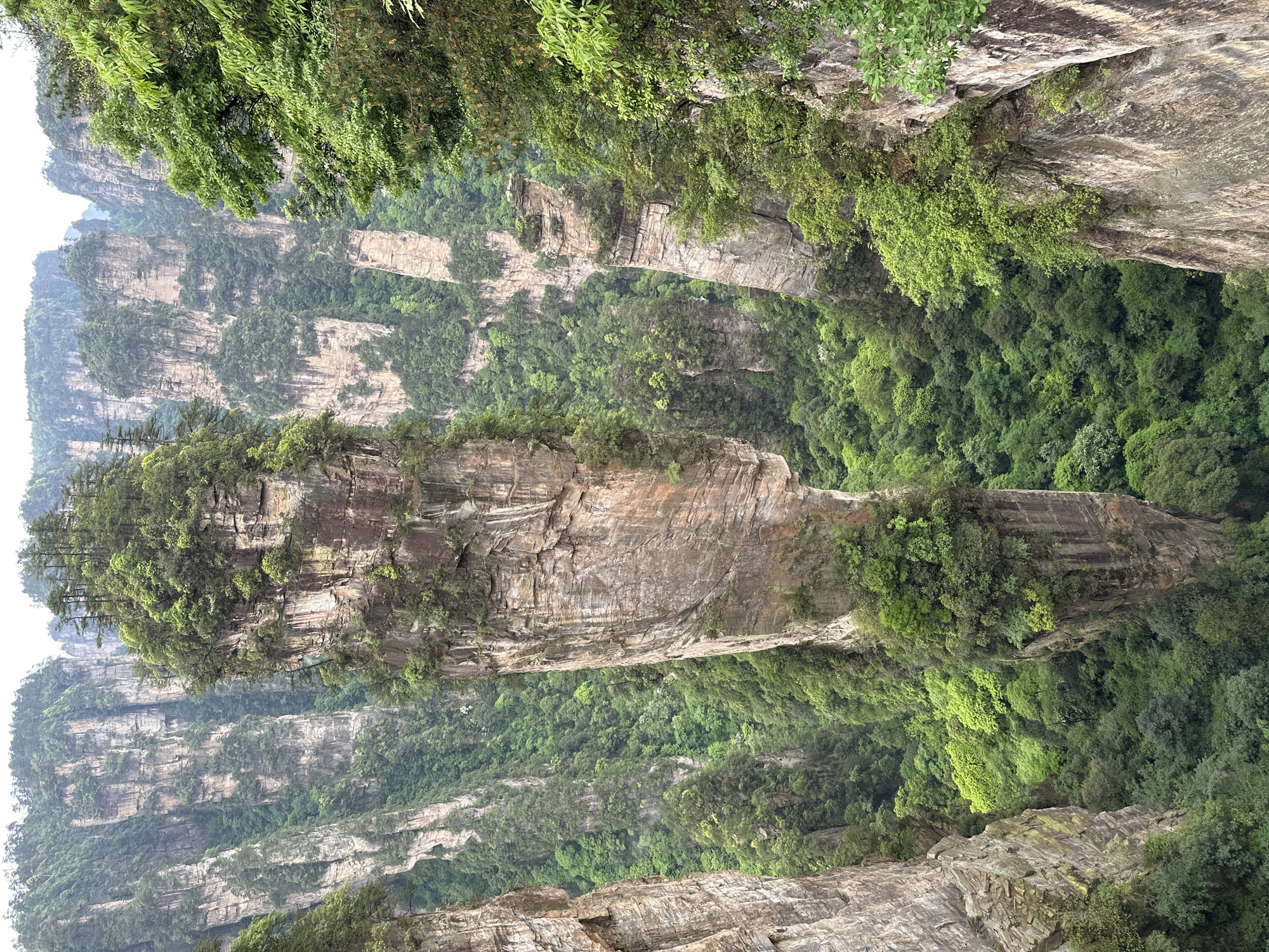 Tourist documents morning visit to Zhangjiajie National Forest Park