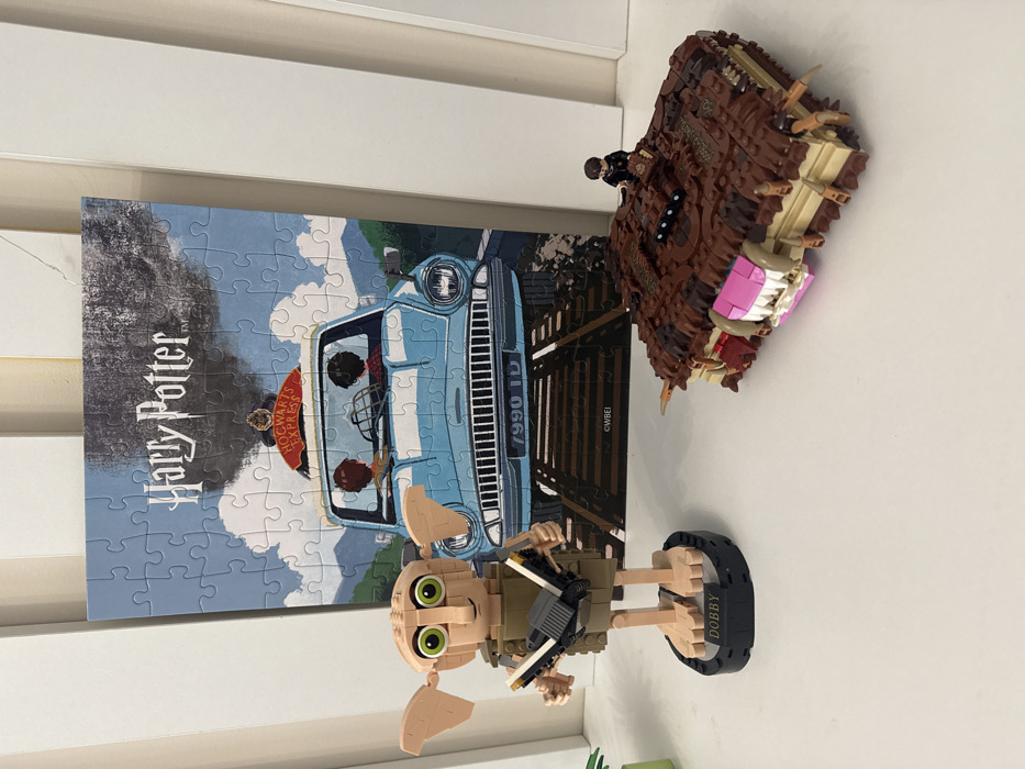 Woman displays Harry Potter Legos and flower bouquets in Batumi
