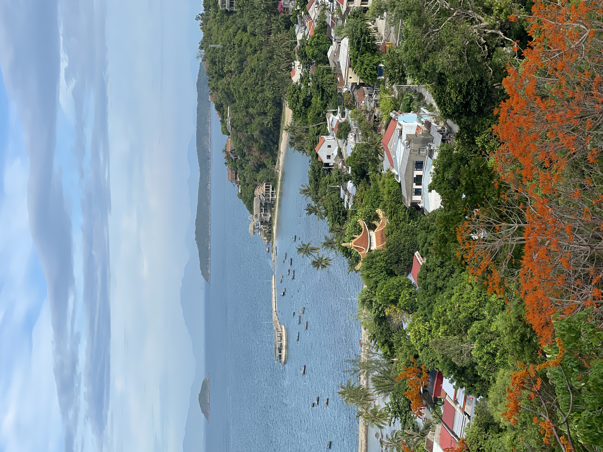 Đà Nẵng bay from above, fishing boats and blooming flamboyant tree