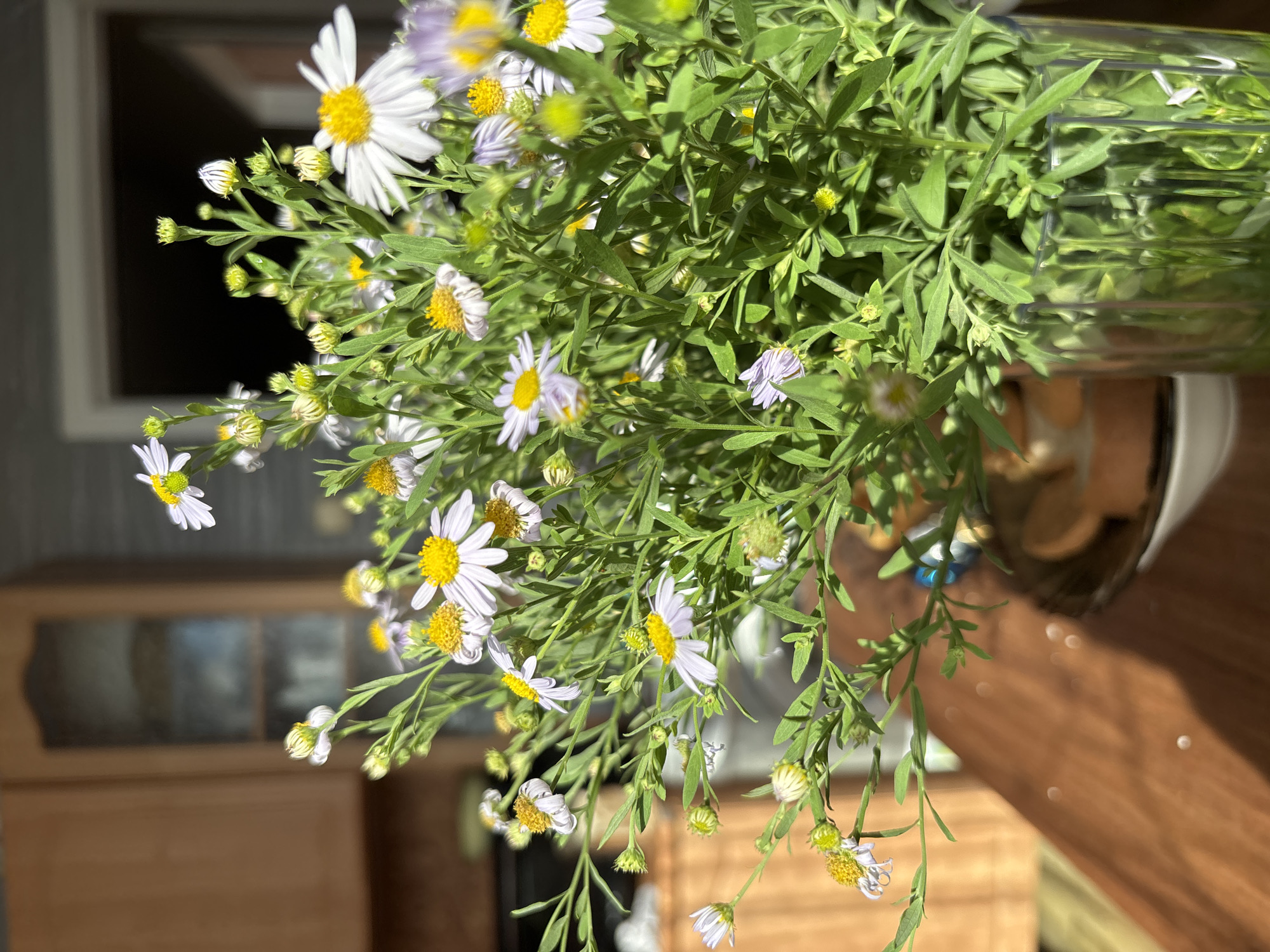 Morning drink and fresh flowers on a quiet indoor table