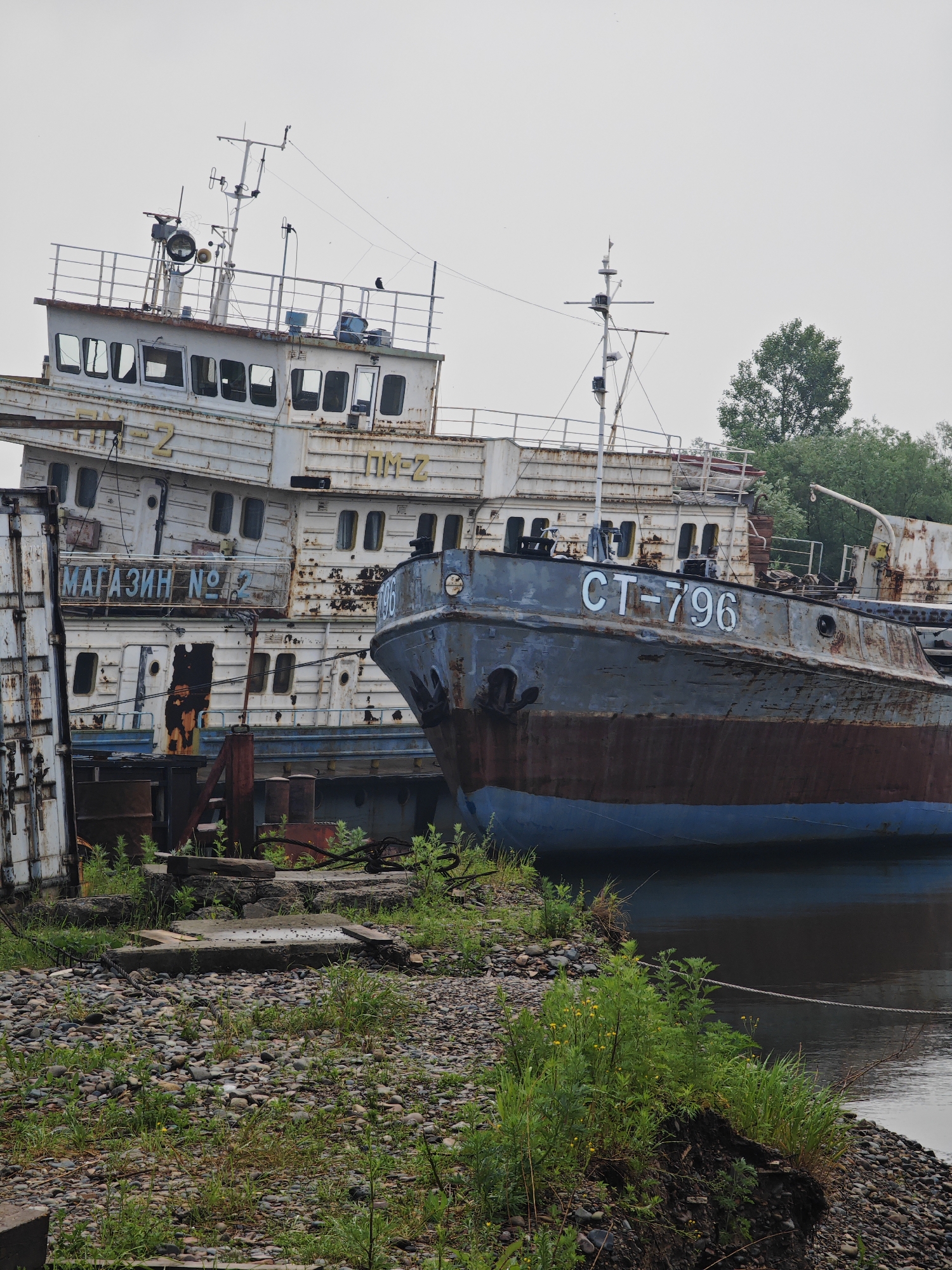 Abandoned vessels and a stray dog at a Krasnoyarsk shipyard