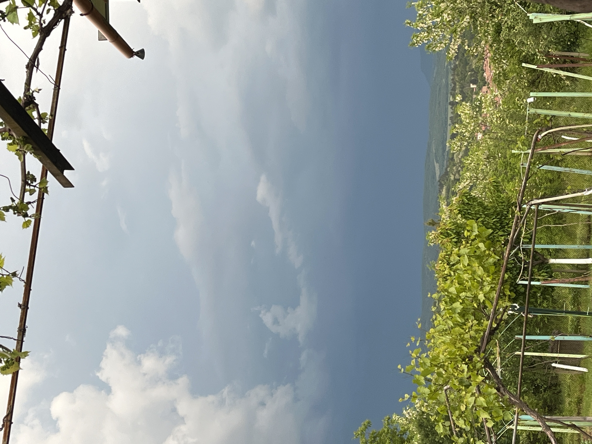 Garden view captured in Sevlievo countryside under cloudy skies