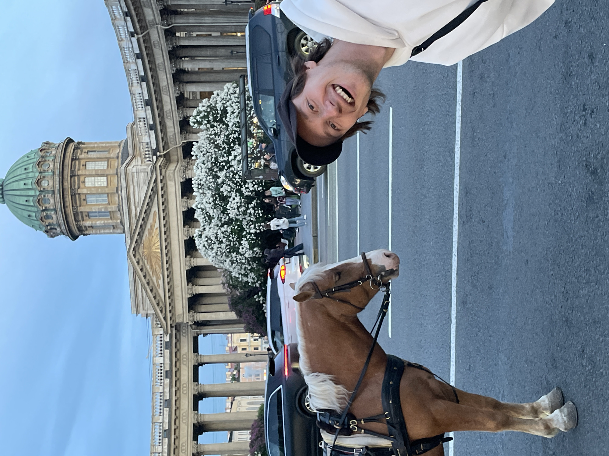 Horse-drawn carriage spotted in central Saint Petersburg evening hours