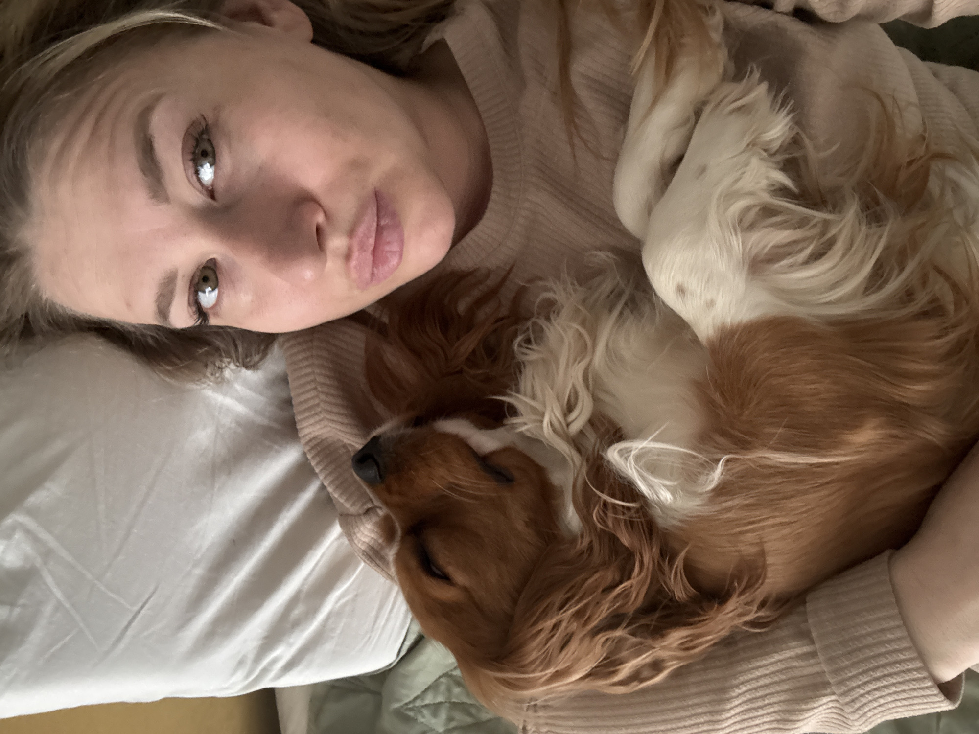 Quiet morning moments with pets and family in Veliky Novgorod