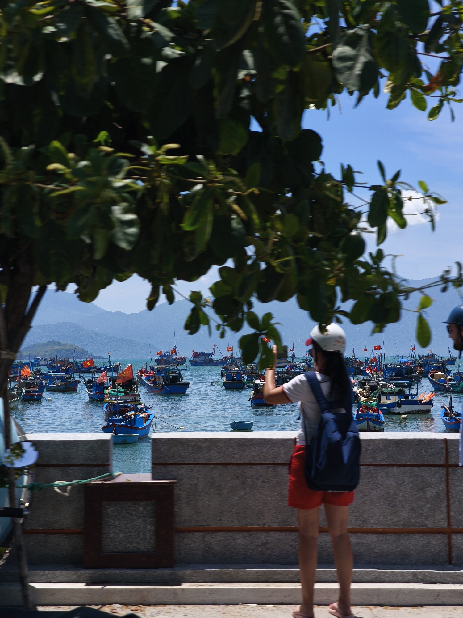 Vĩnh Lương fishing harbor packed with colorful boats on a clear morning
