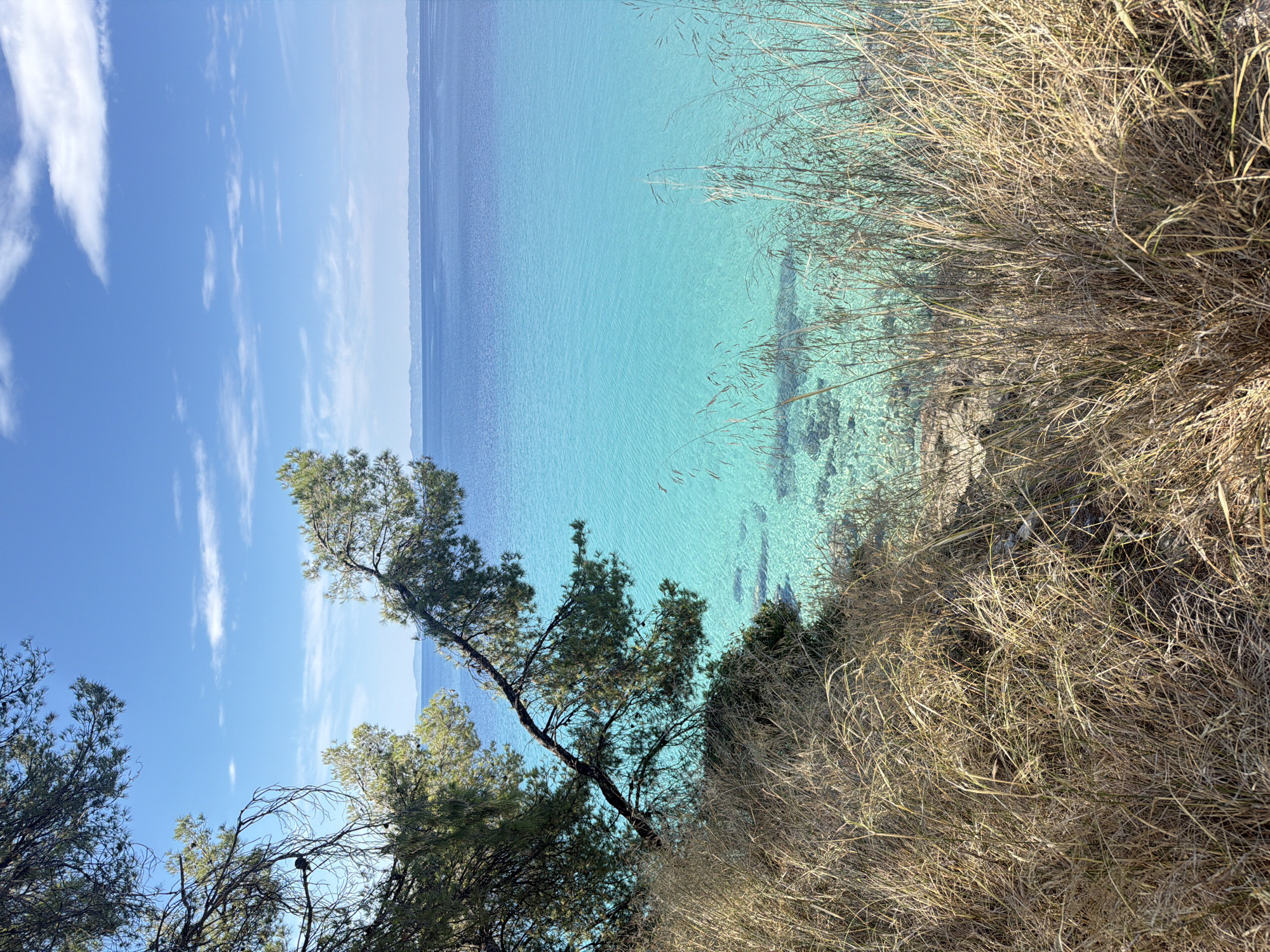 Pebble beach and pine coast, Sithonia, Greece