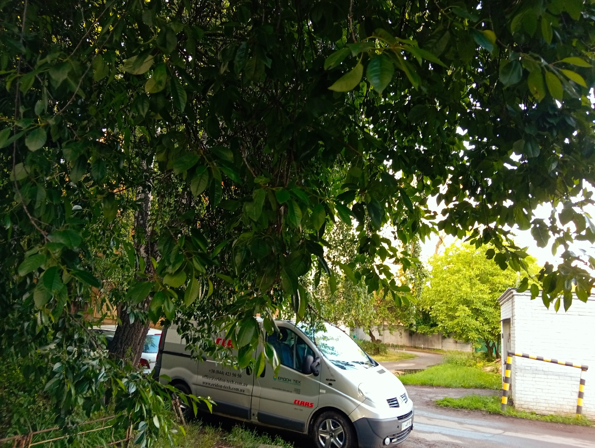 Ordinary afternoon moments captured across Poltava, Ukraine neighborhoods