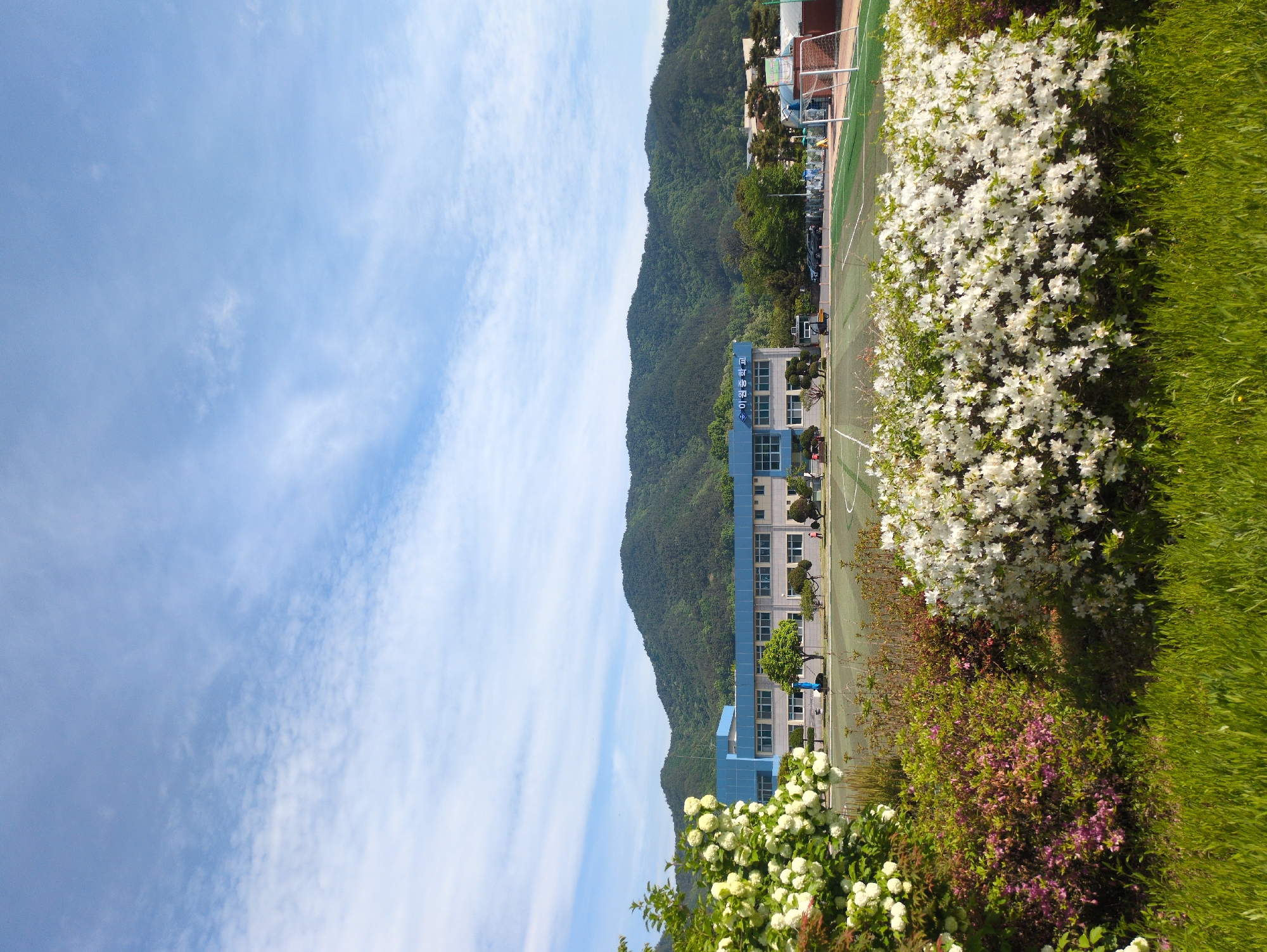 Rural Geonjin-ri landscape and church documented in early morning