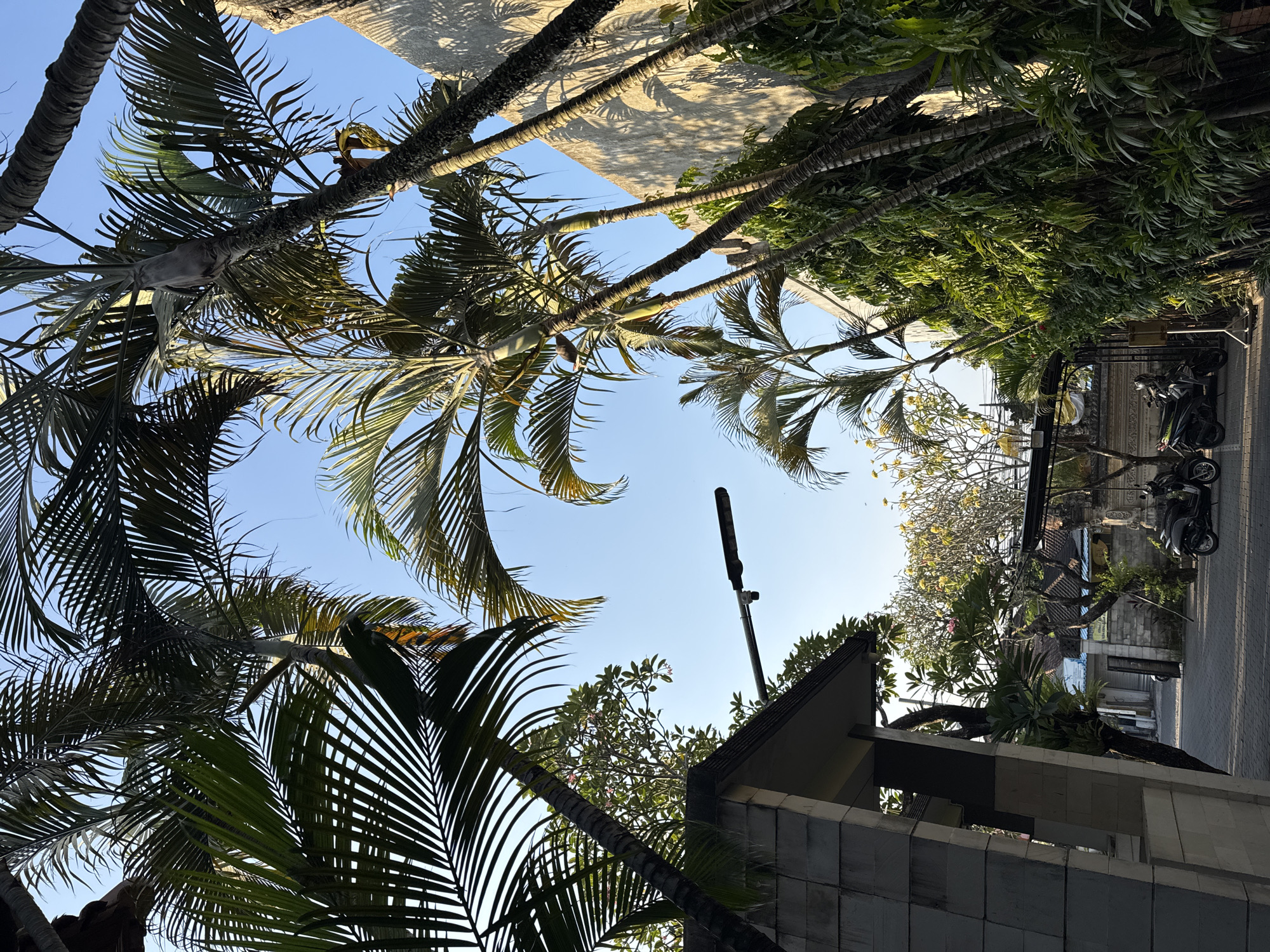 Street-level details of Balinese architecture and nature in Denpasar