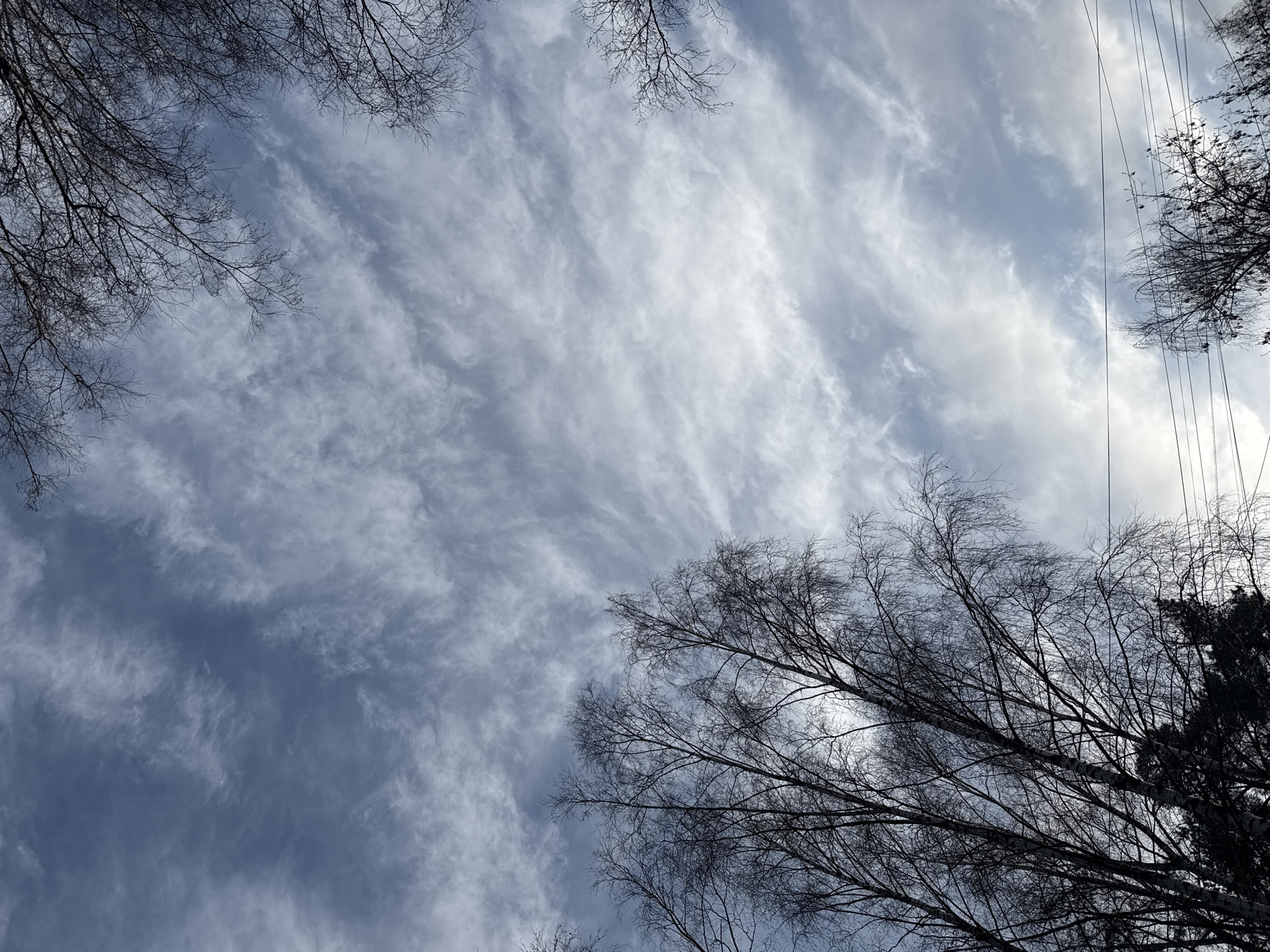Afternoon scenes documented across Dmitrov, Russia