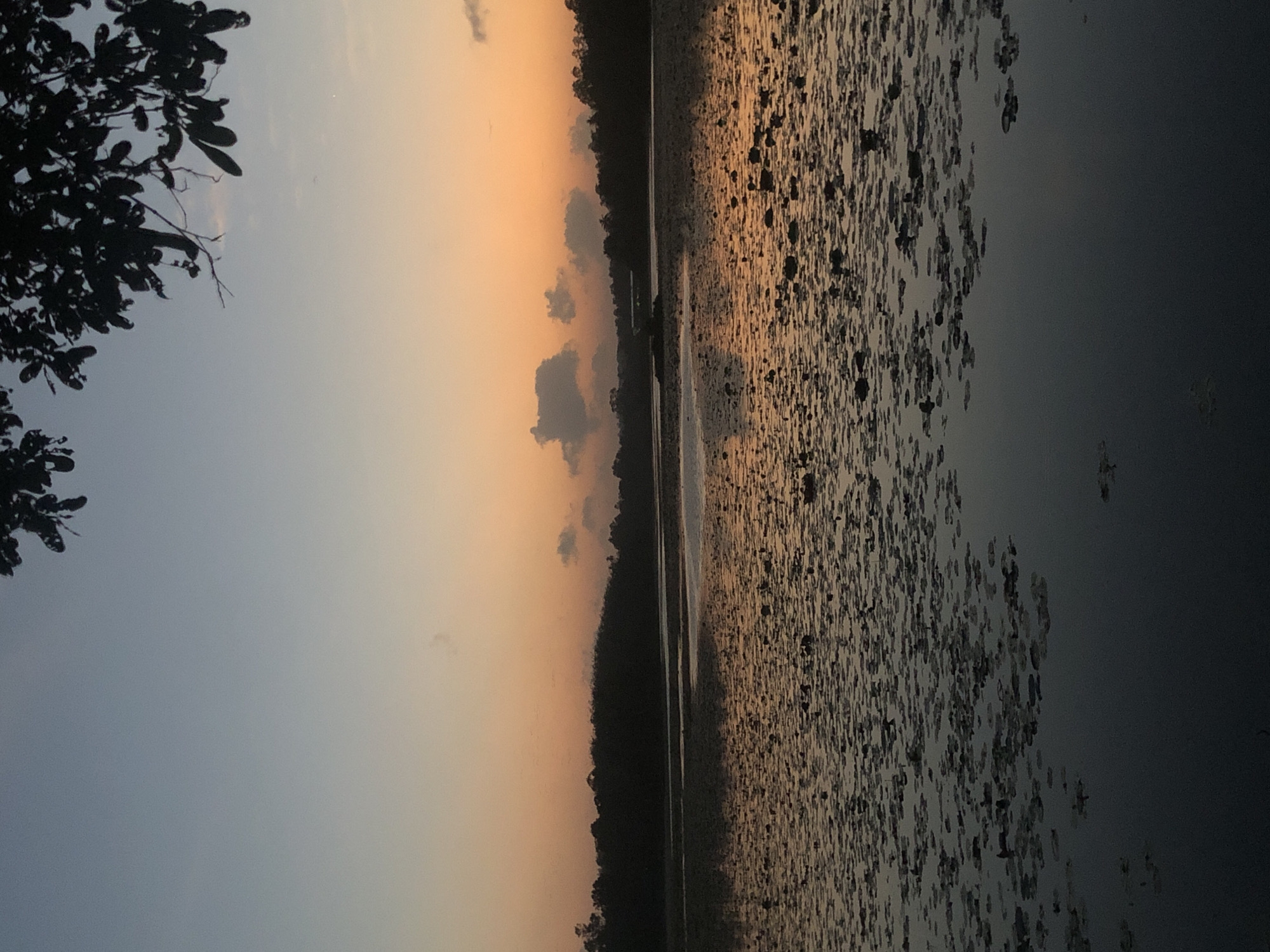Dusk settles over a quiet lakeside in Moodugamuawa, Sri Lanka