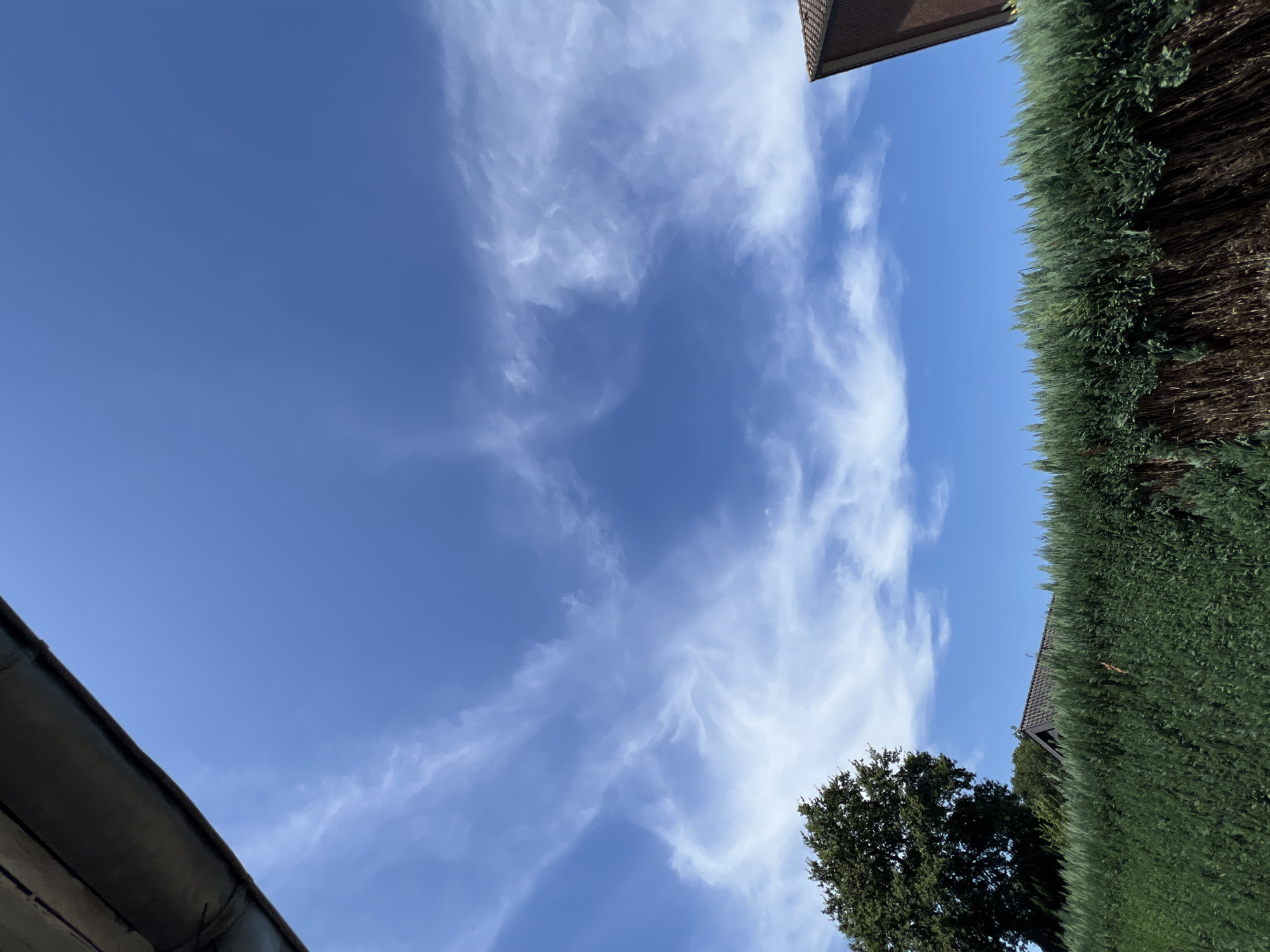 Sky, roses, and a motivational quote — a quiet five-minute snapshot