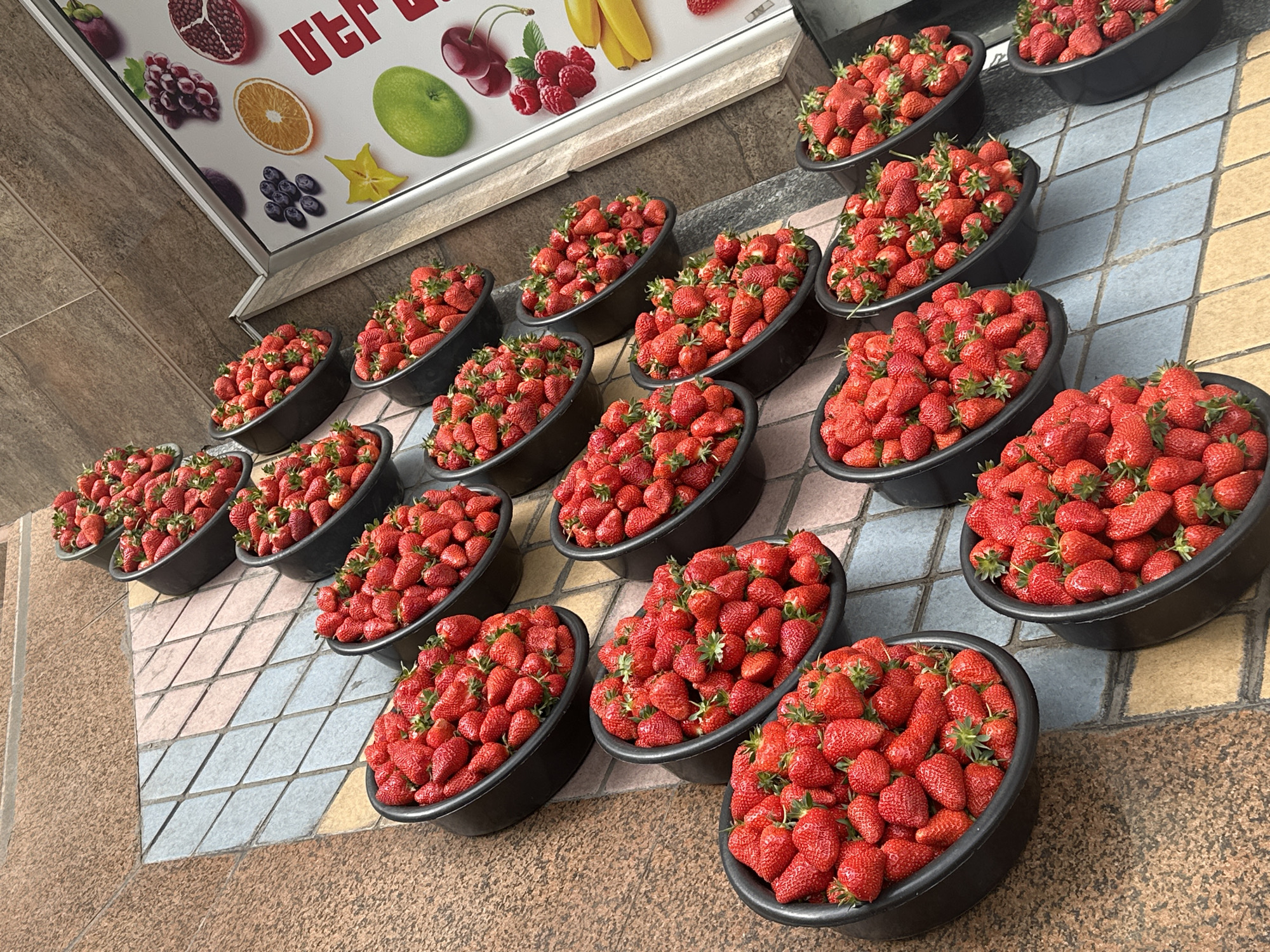 Morning street life in Yerevan: strawberry vendors, feeding cats