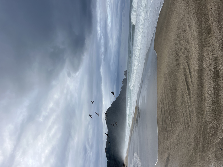 Overcast morning scenes documented across Alanya's beaches and streets