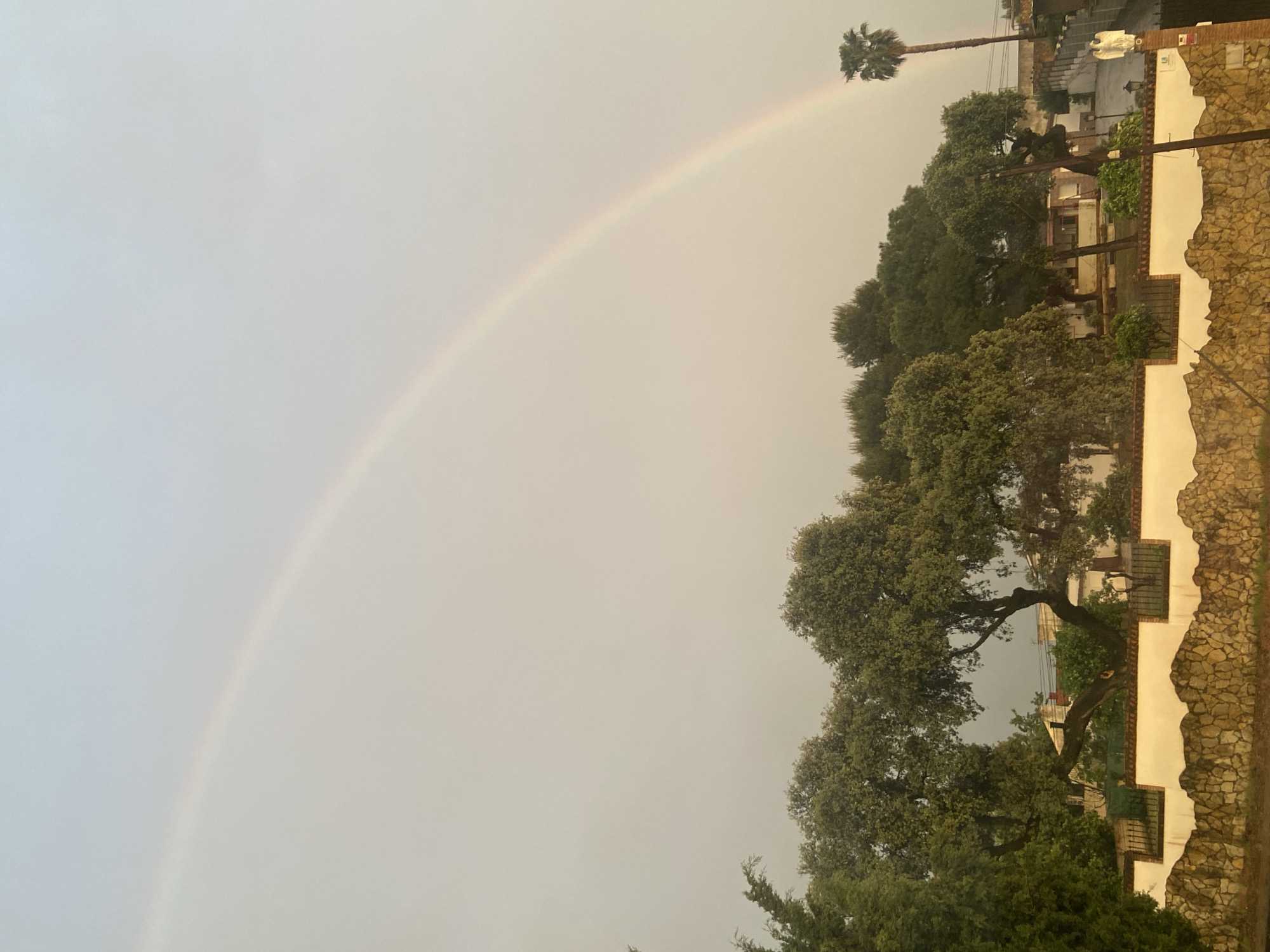 Rainbow spotted over Spanish residential area amid gray skies