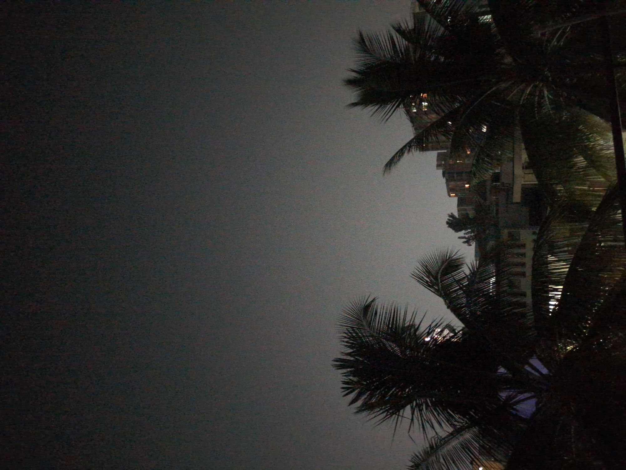 Overcast night scene with palm trees captured in Bengaluru