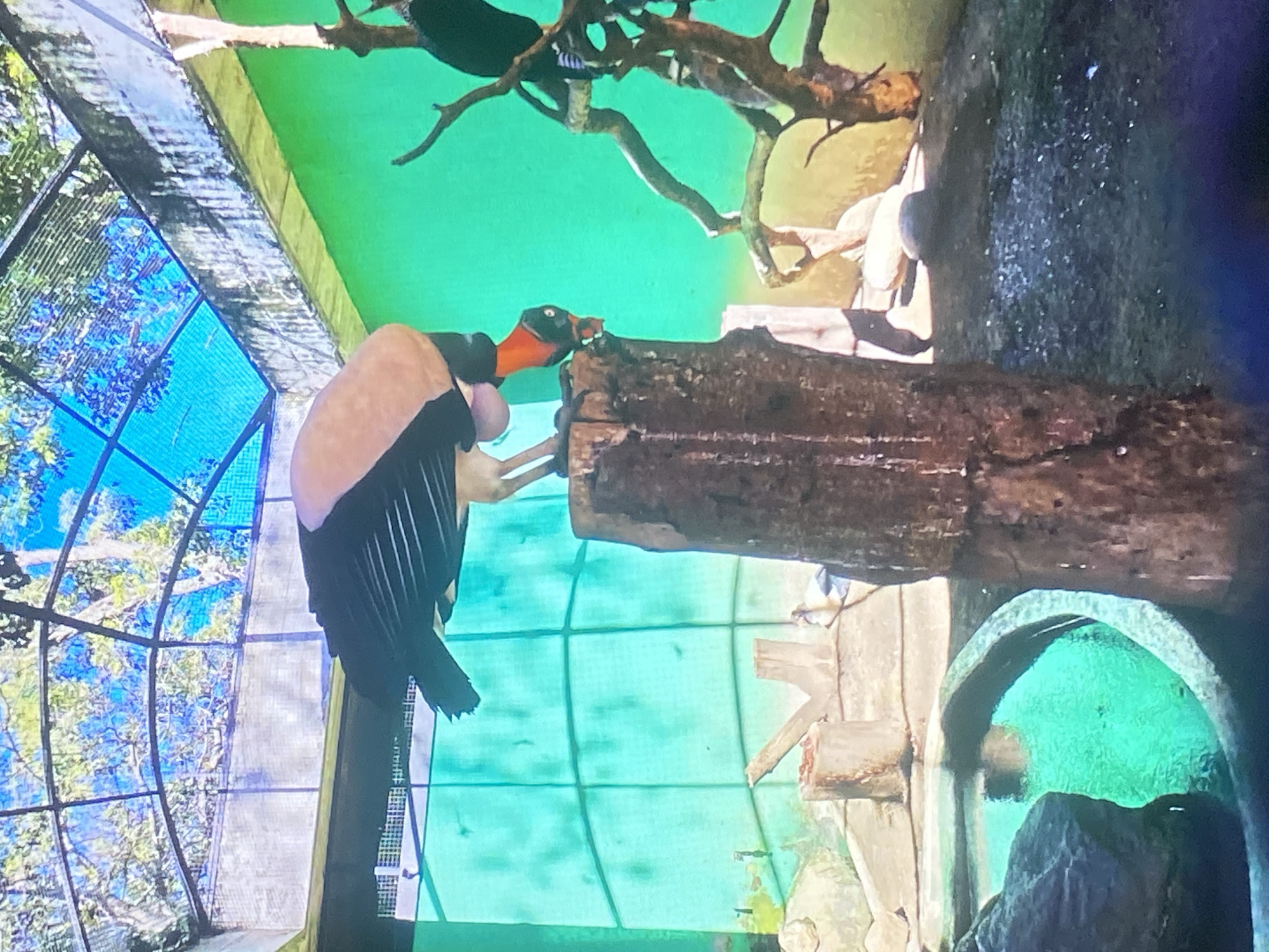 Wildlife viewing documented at Tinaquillo facility in Venezuela