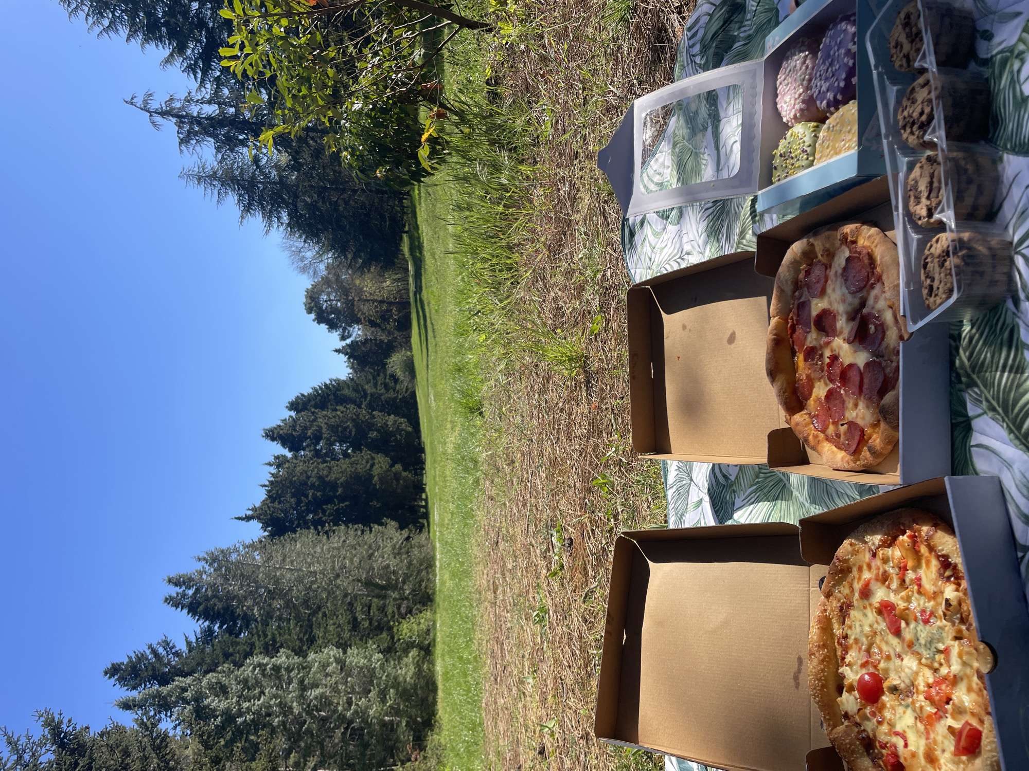 Pizza picnic documented in Varna park area