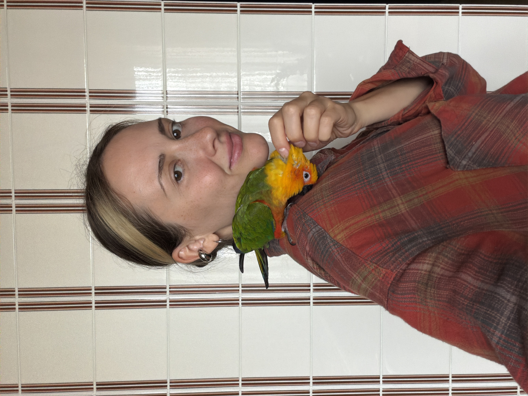 Sun conure parrot hangout session in Khimki