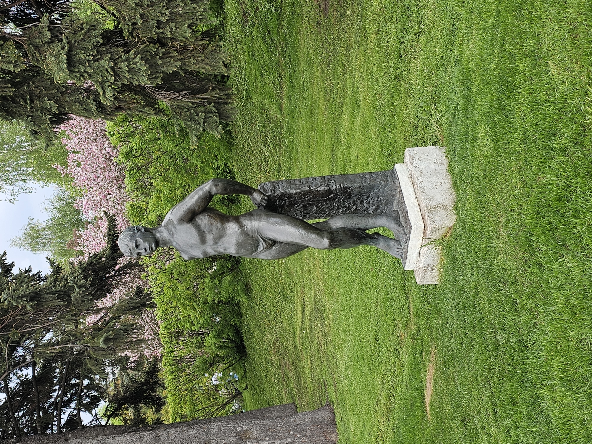 Bronze nude male statue observed in park setting