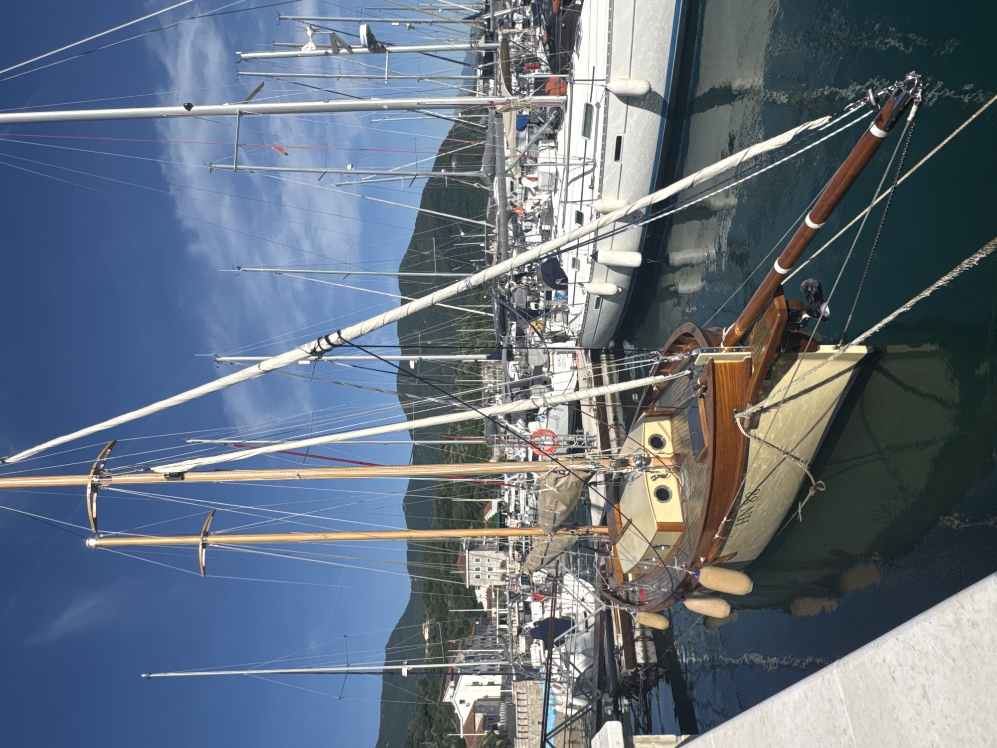 Quiet afternoon moments captured at Montenegro marina with boats, cat