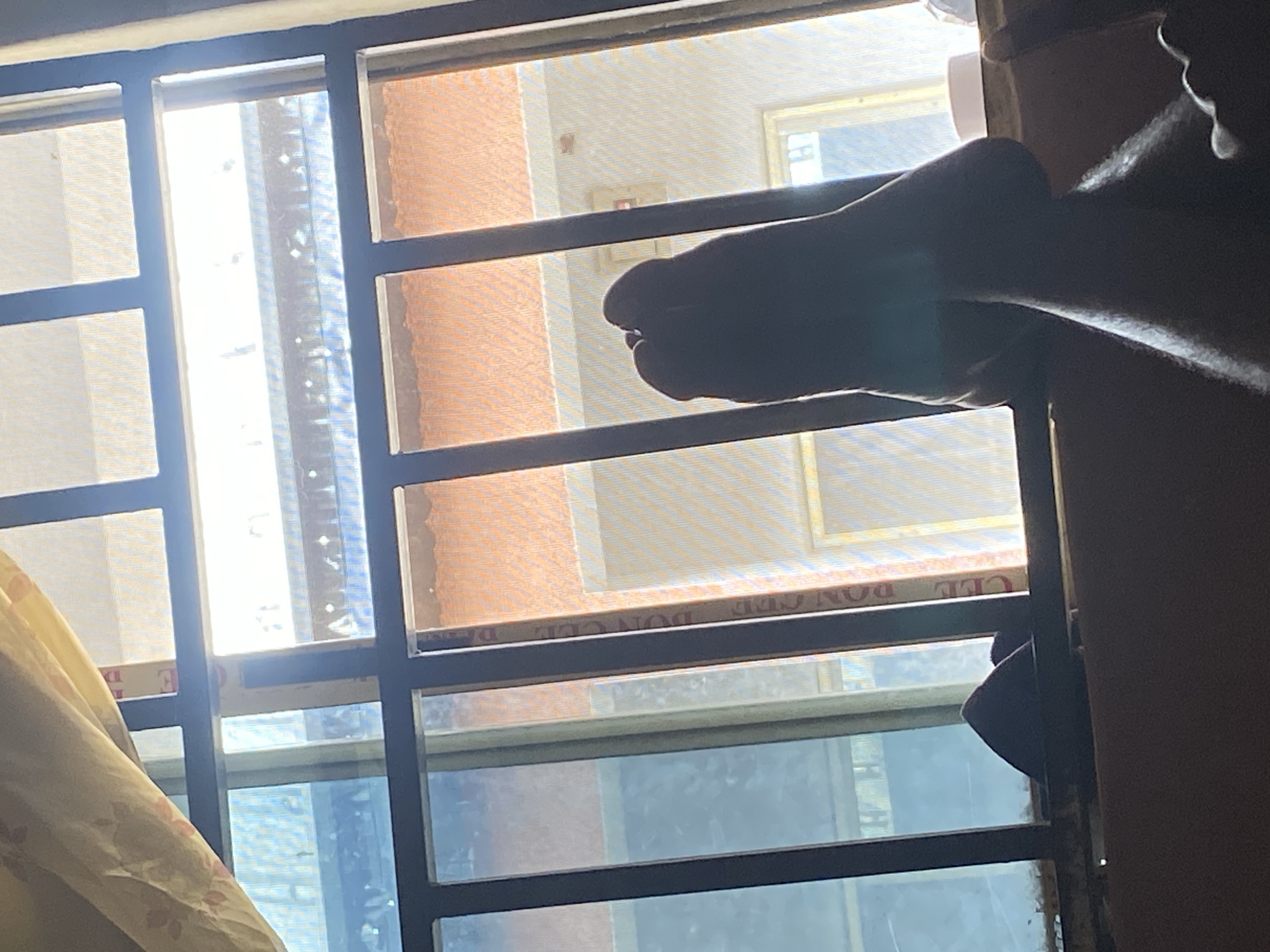Indoor downtime and neighborhood streets in Jalingo, Nigeria