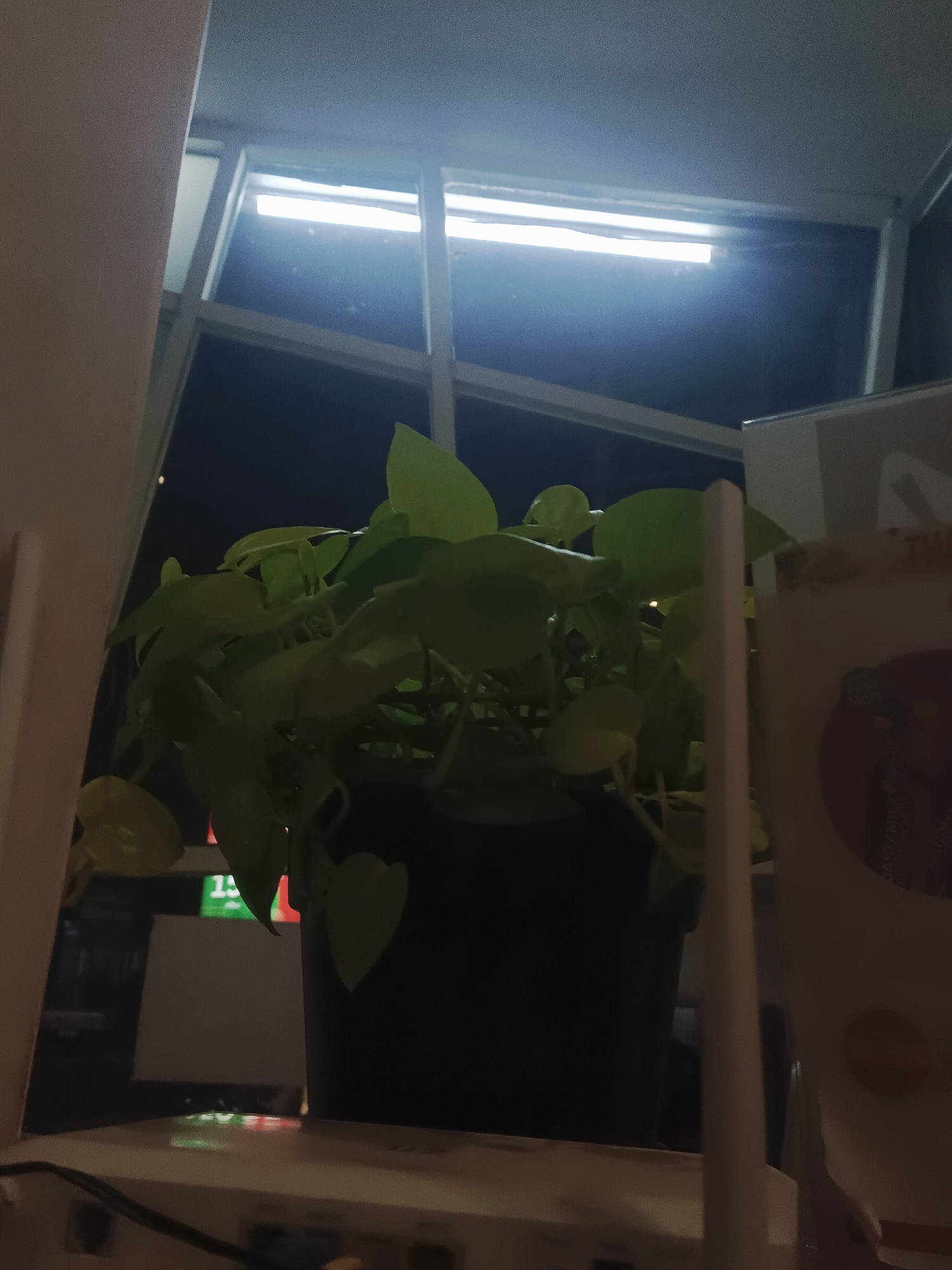 Quiet interior details: plants, a bell, and a louvered window