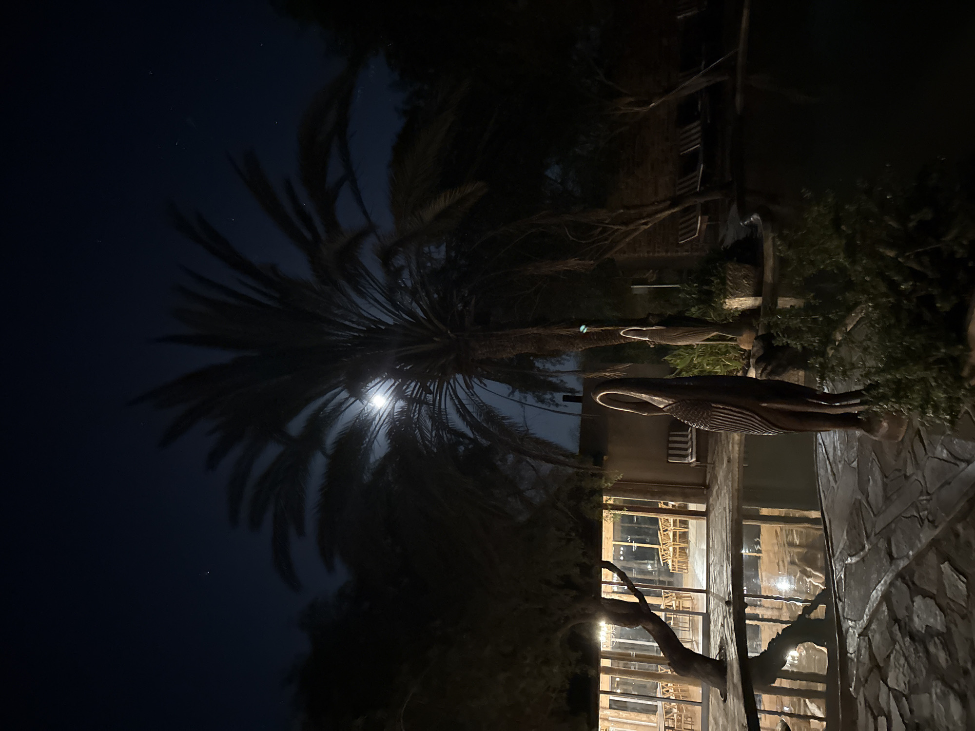 Nighttime photography documents tranquil scenes in Aussenkehr, Namibia