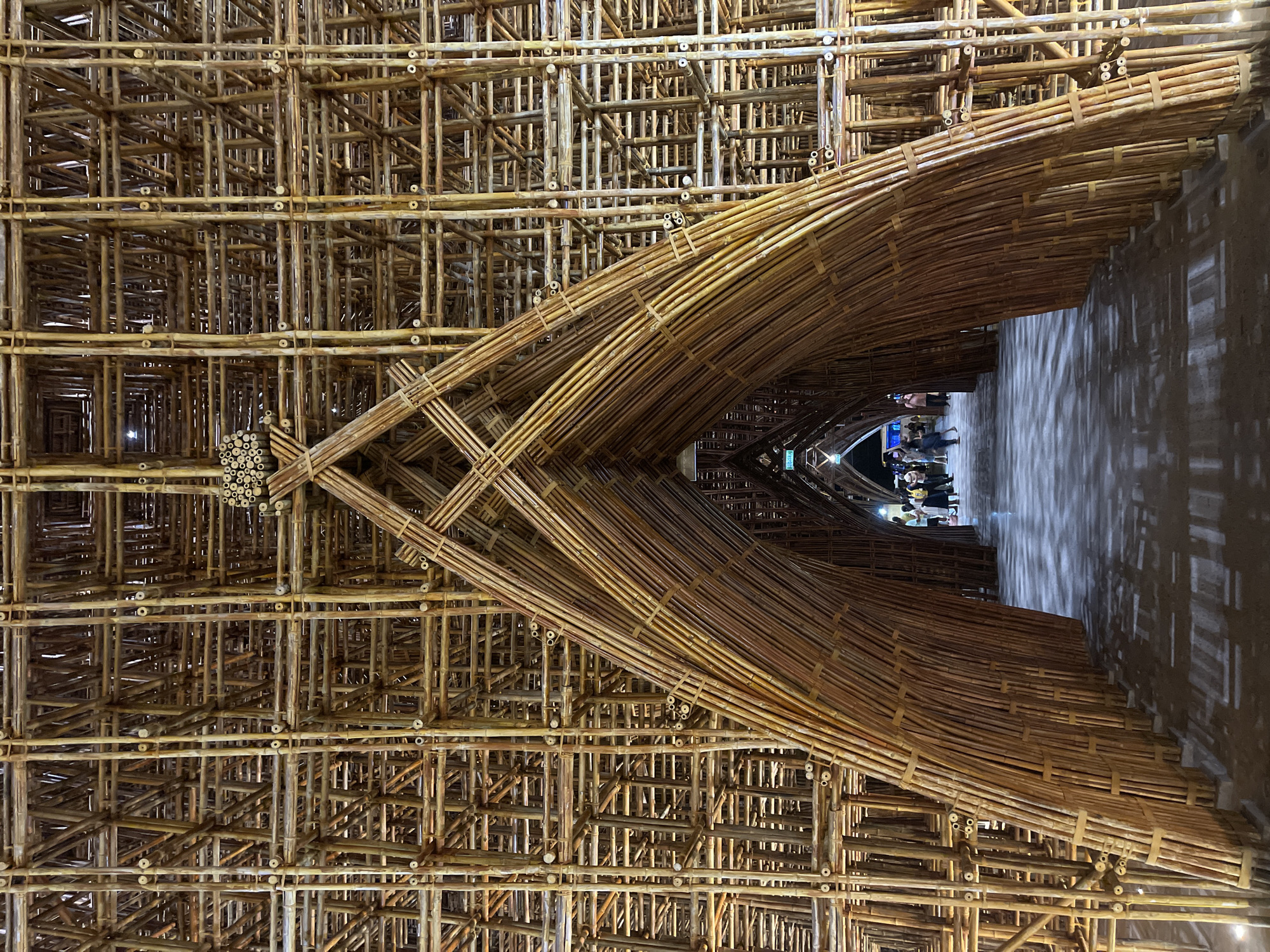 Tourist documents nighttime visit to illuminated bamboo park in Vietnam