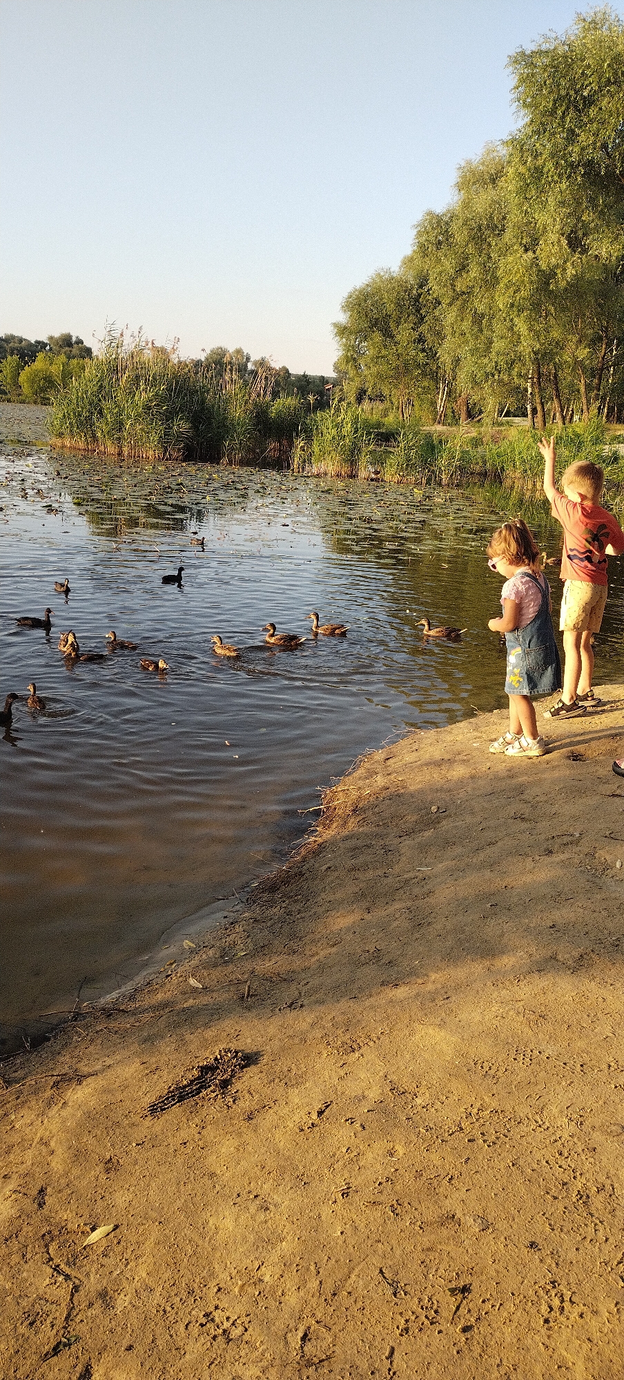 Ducks, golden statues, and a dog by a Pisochyn lake at sunset