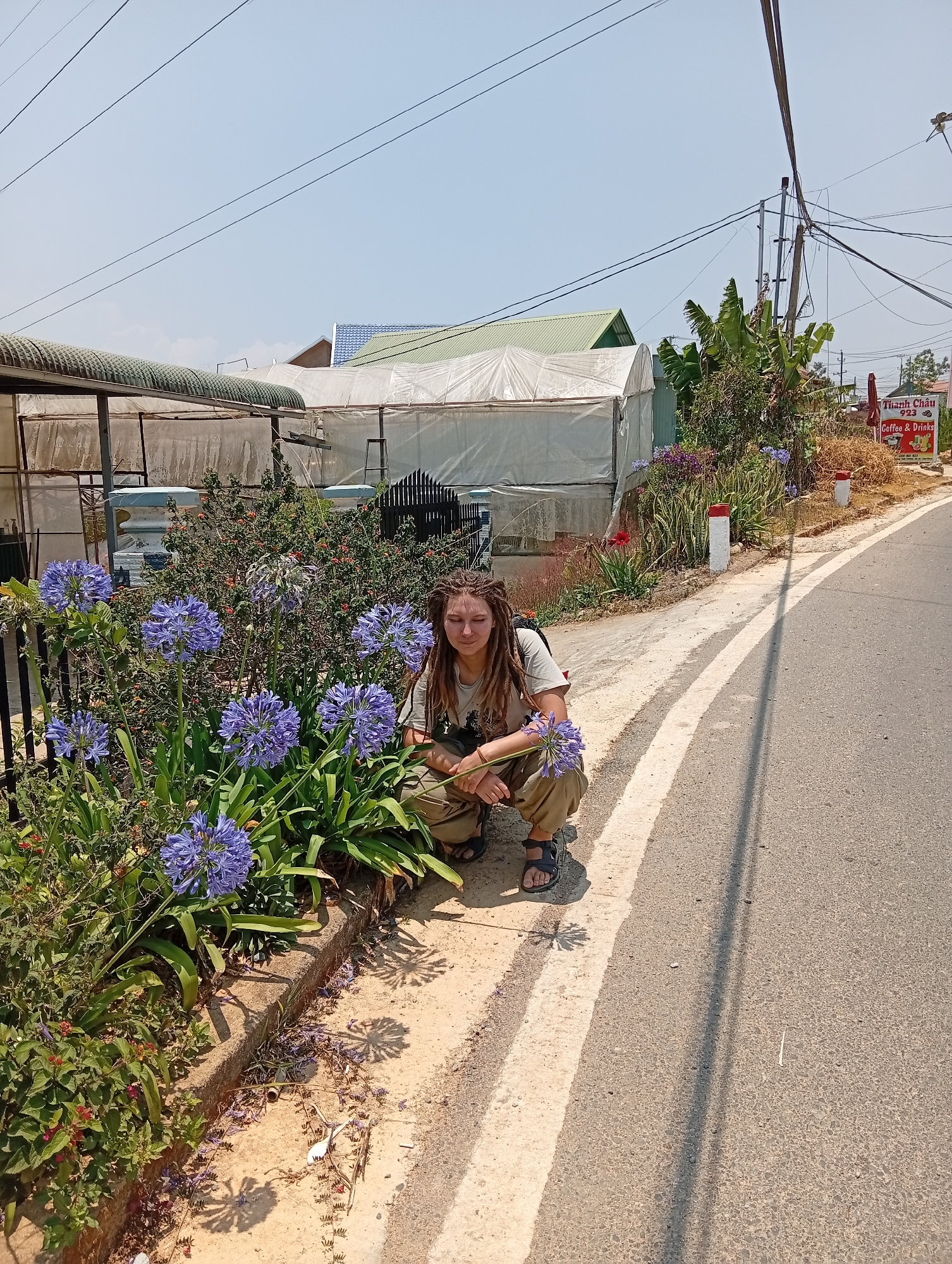 Woman tends to purple flowers on roadside in Vietnam