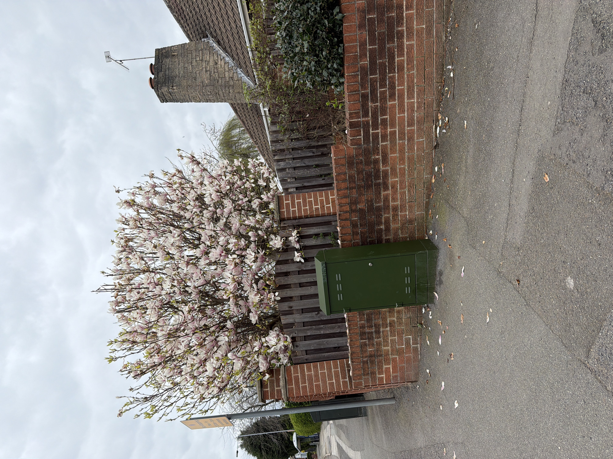 Spring afternoon street life captured across Rotherham area