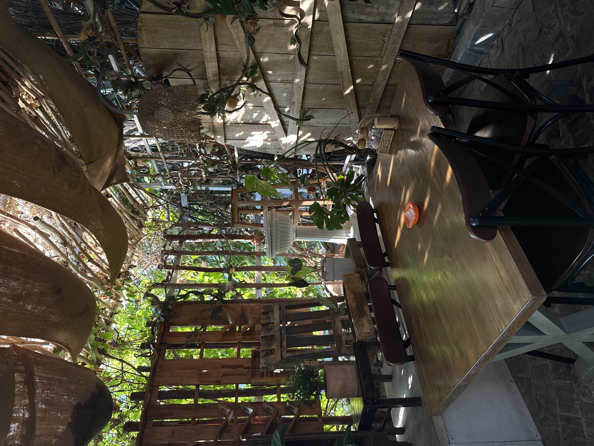 Exploring a lush, plant-filled cafe in Nha Trang