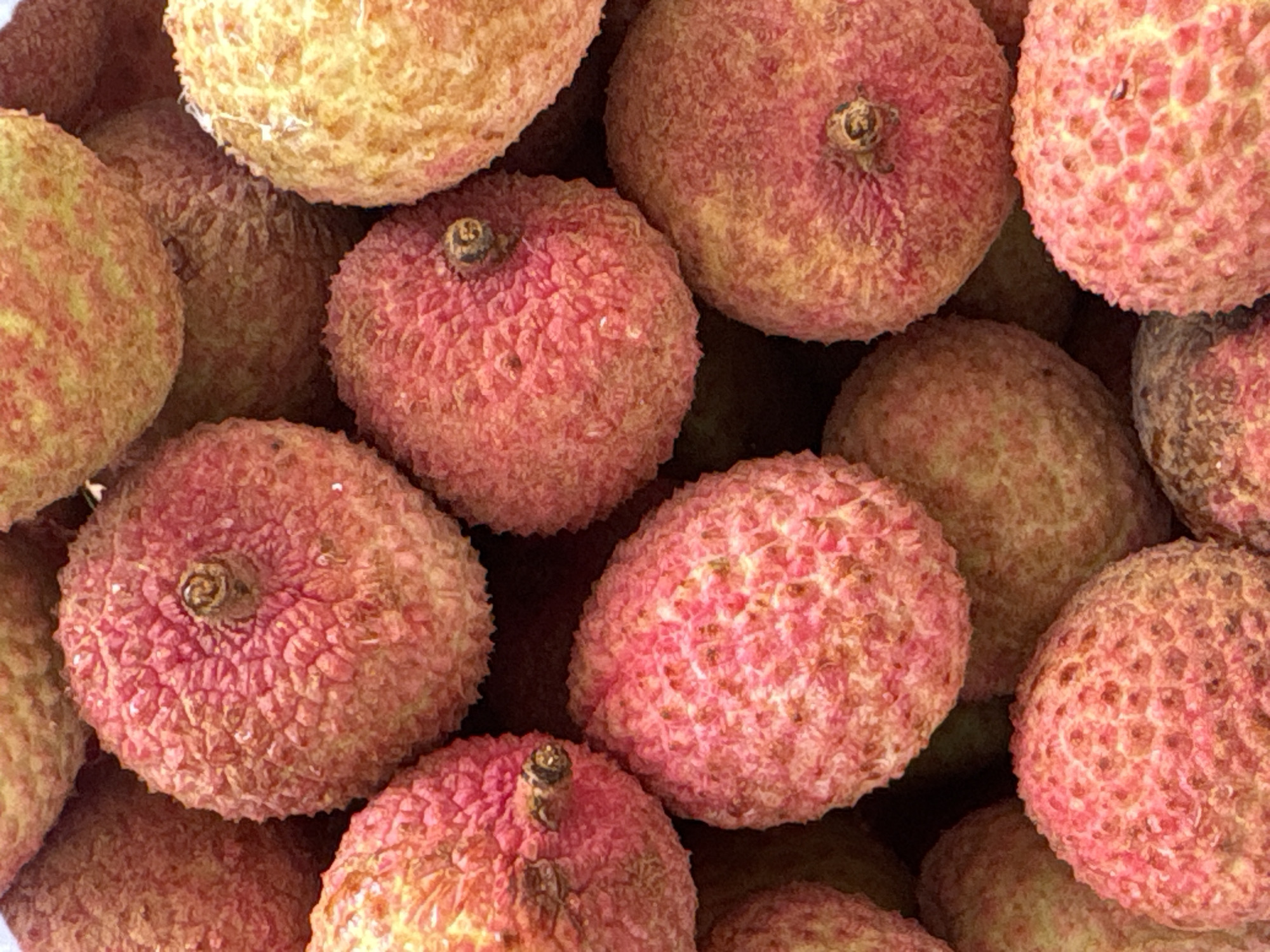 Puebla residents document office work and lychee shopping