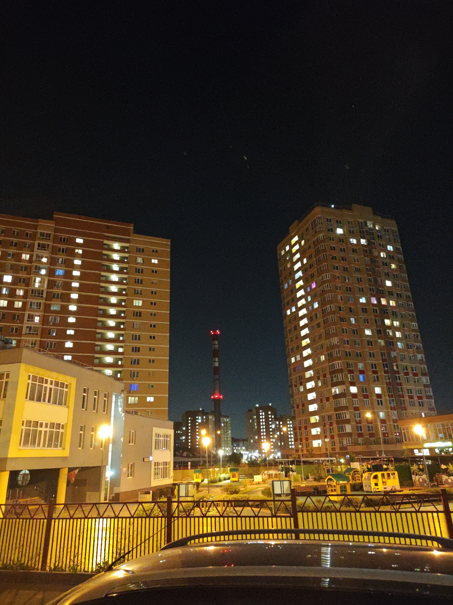 Shcherbinka nights: apartment towers and a Chihuahua at home