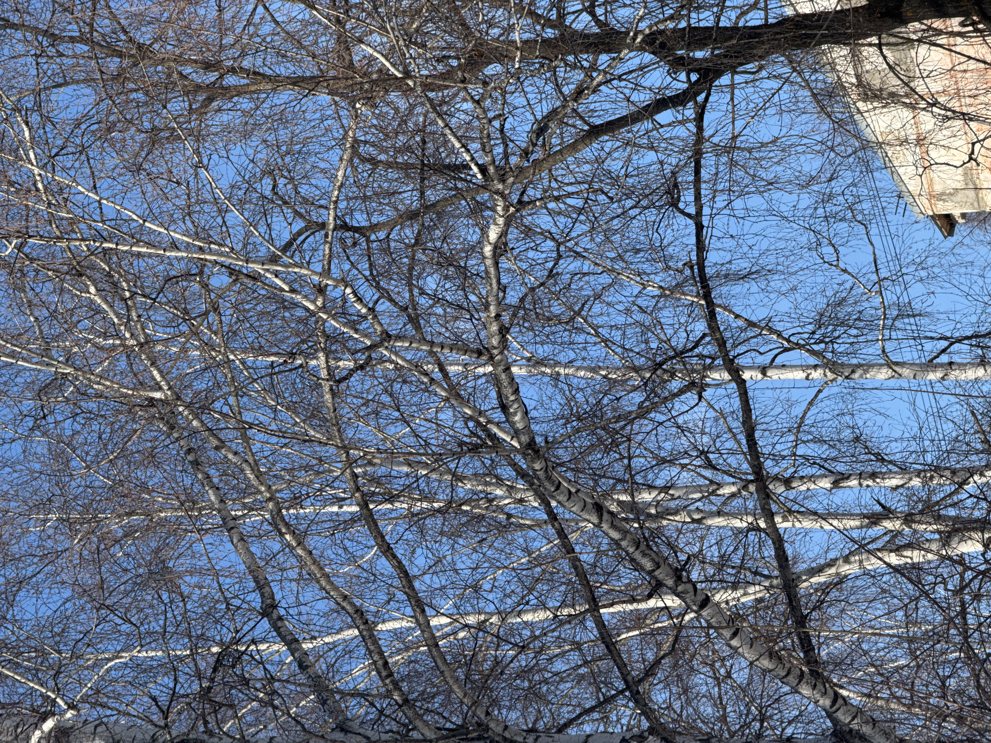 Morning life documented across Chaikovsky, Russia winter scenes