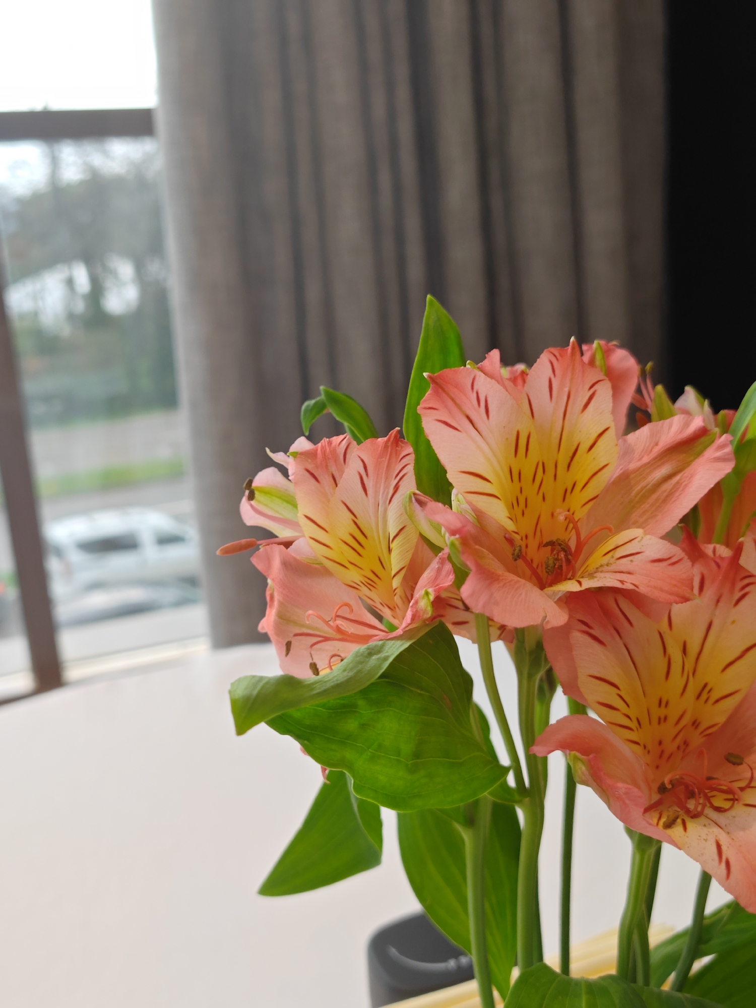 Upscale Varna restaurant interior documented with Easter decorations