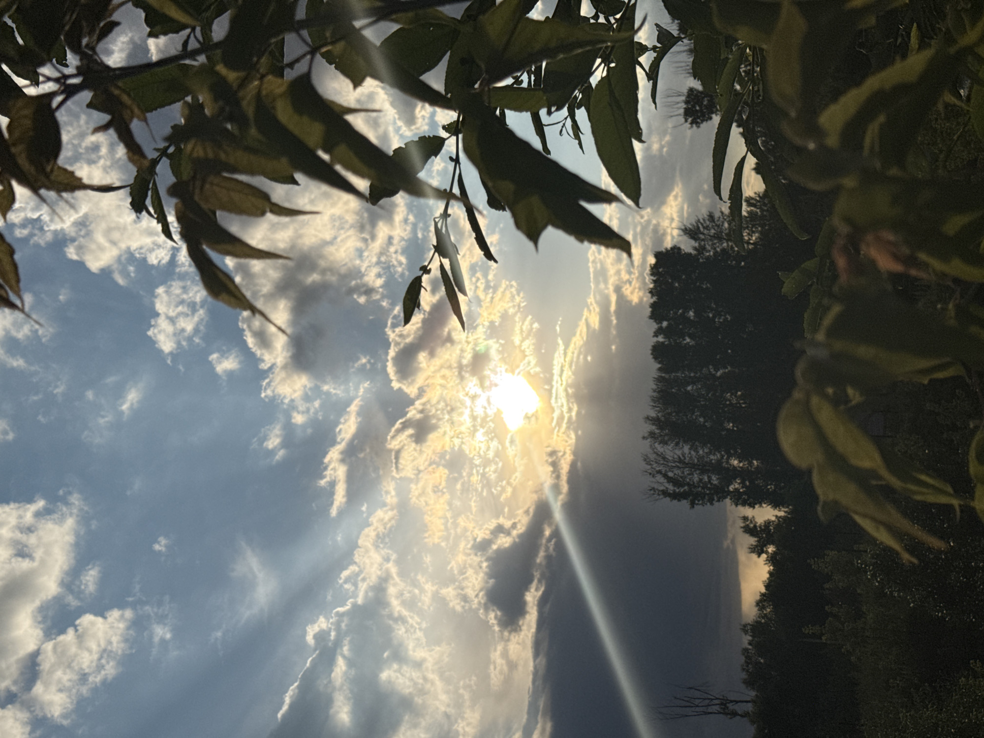Golden-hour clouds and sunbeams across urban and suburban skies
