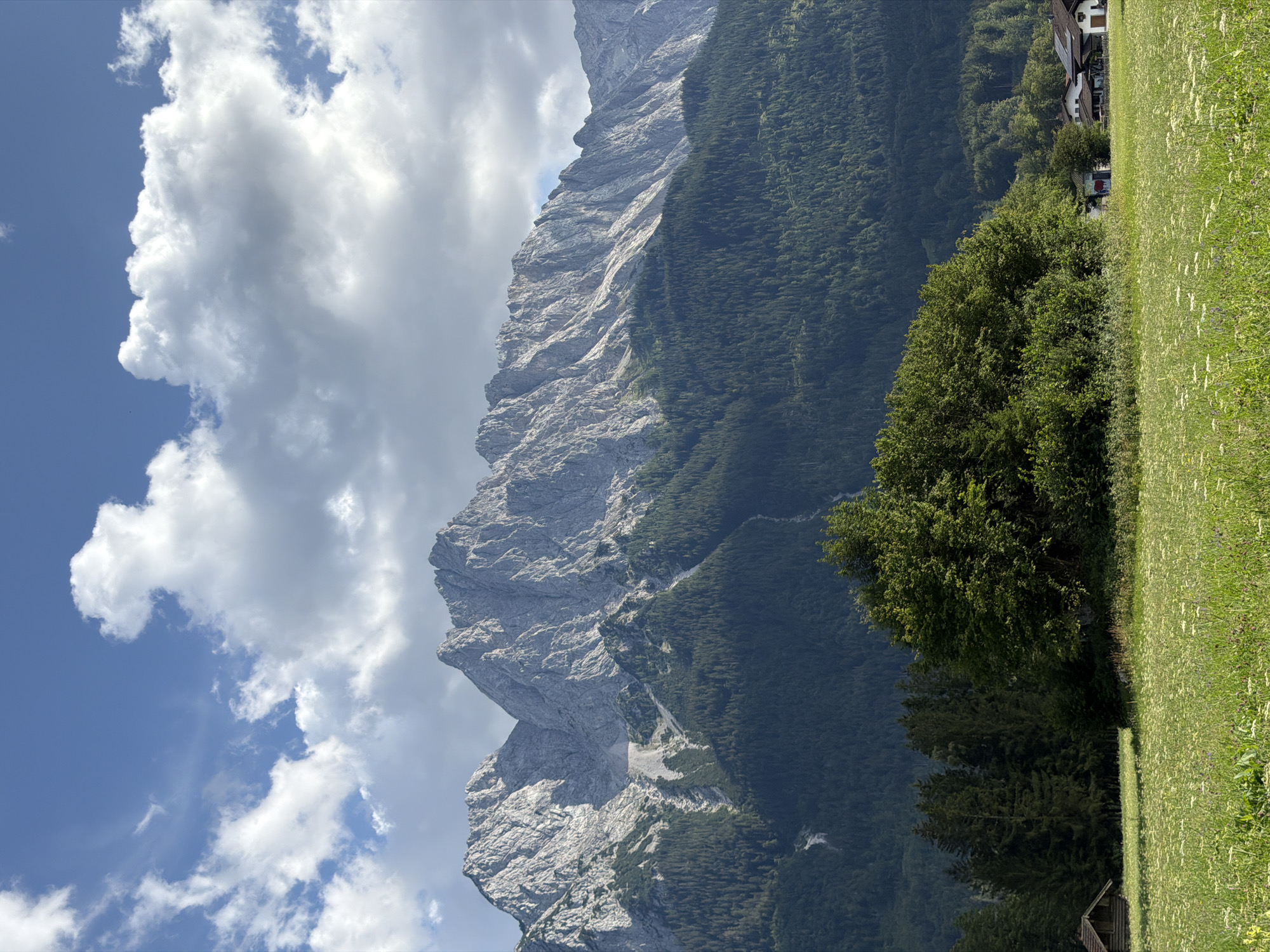 Meadows, village, and forest in the Grainau Alpine landscape