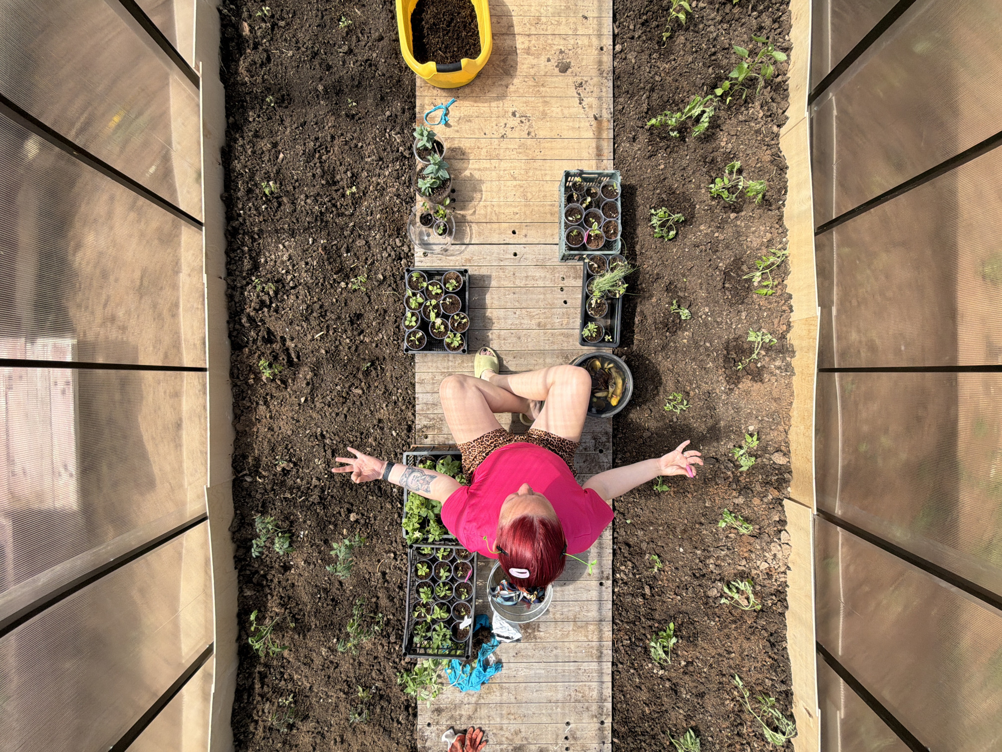 Woman documents morning gardening session in Chaikovsky greenhouse