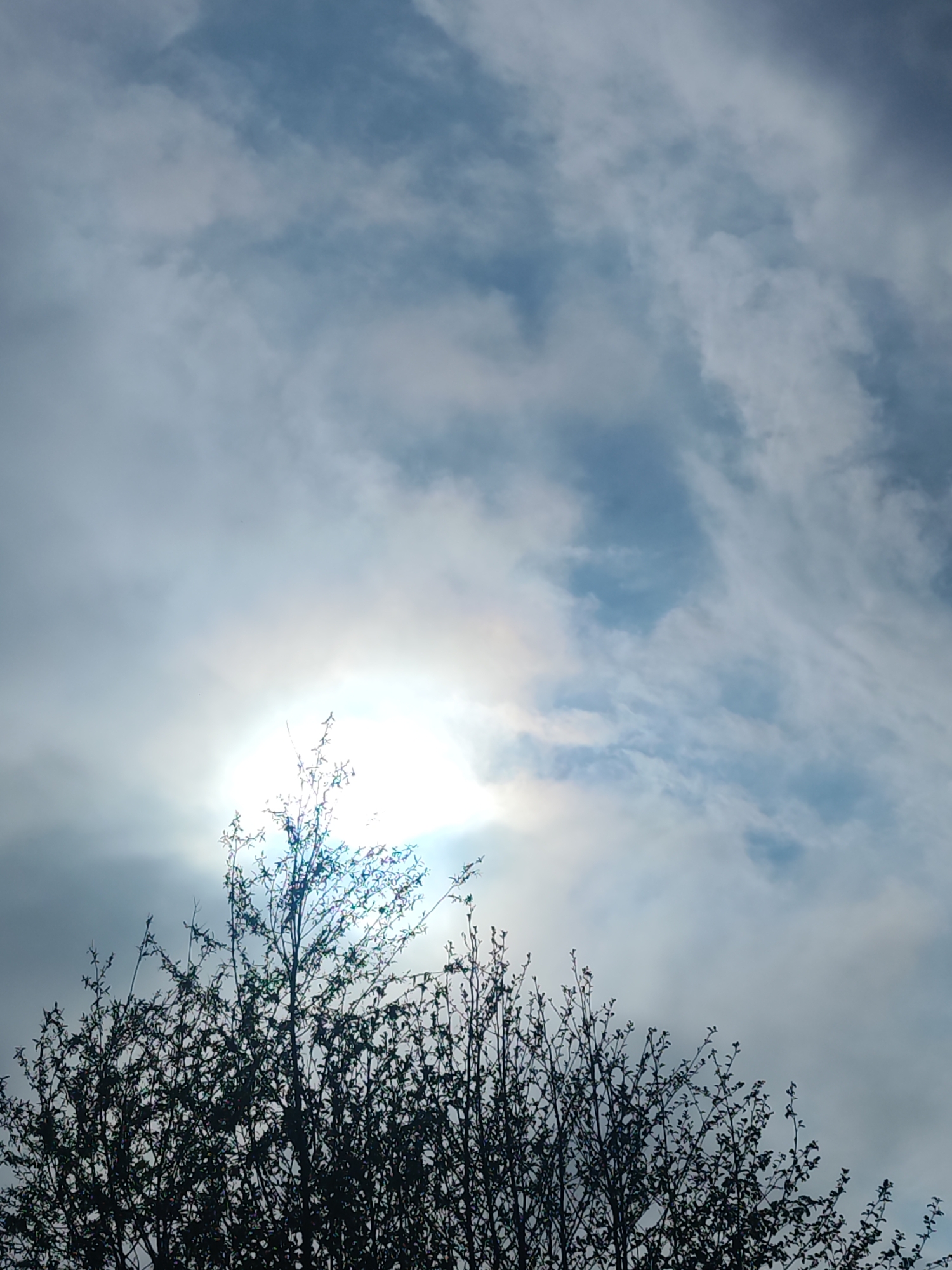 Spring forest walk documented through 12 photos in Chaikovsky
