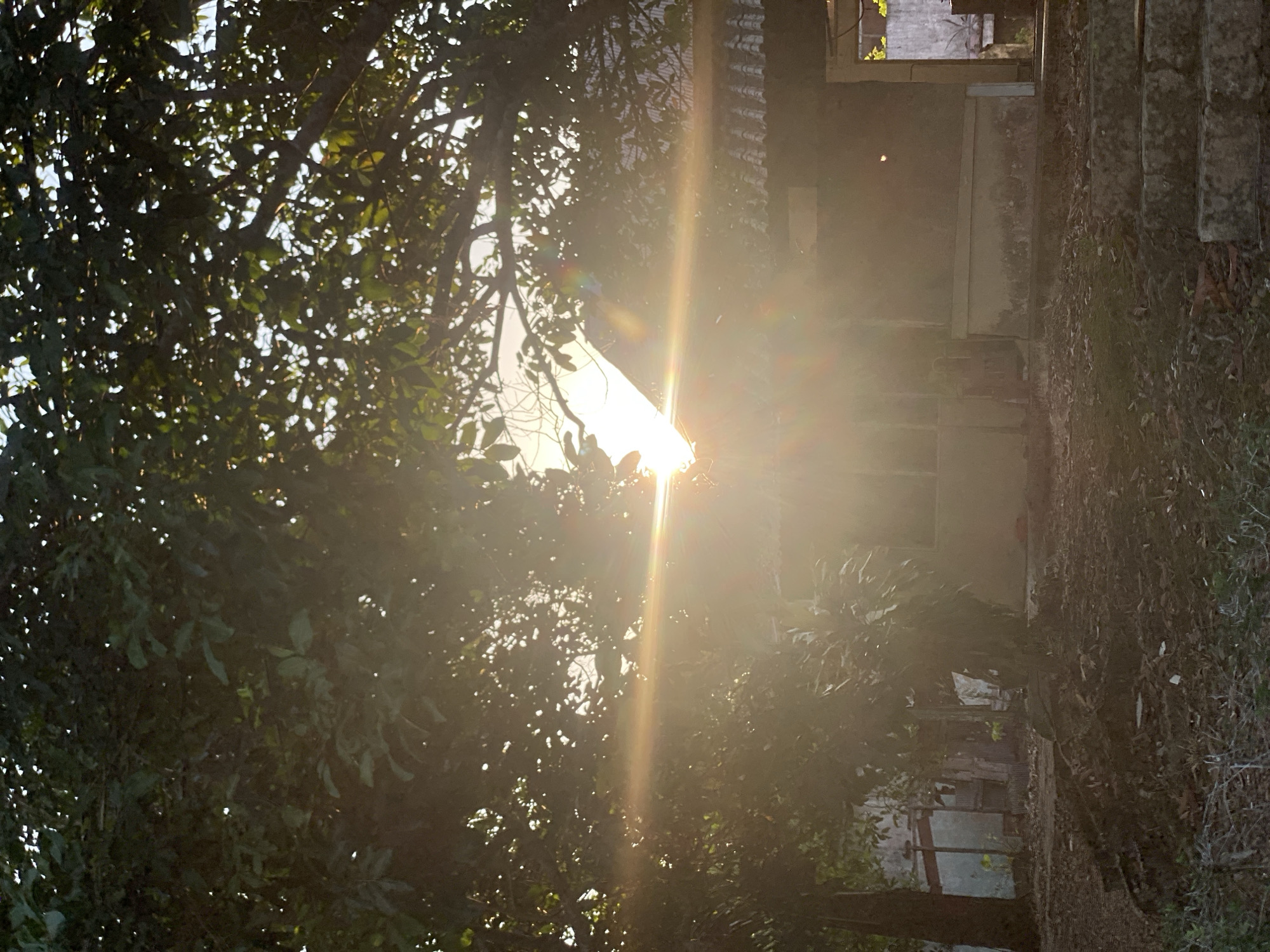 Banjarbaru neighborhood life under golden tree-filtered light