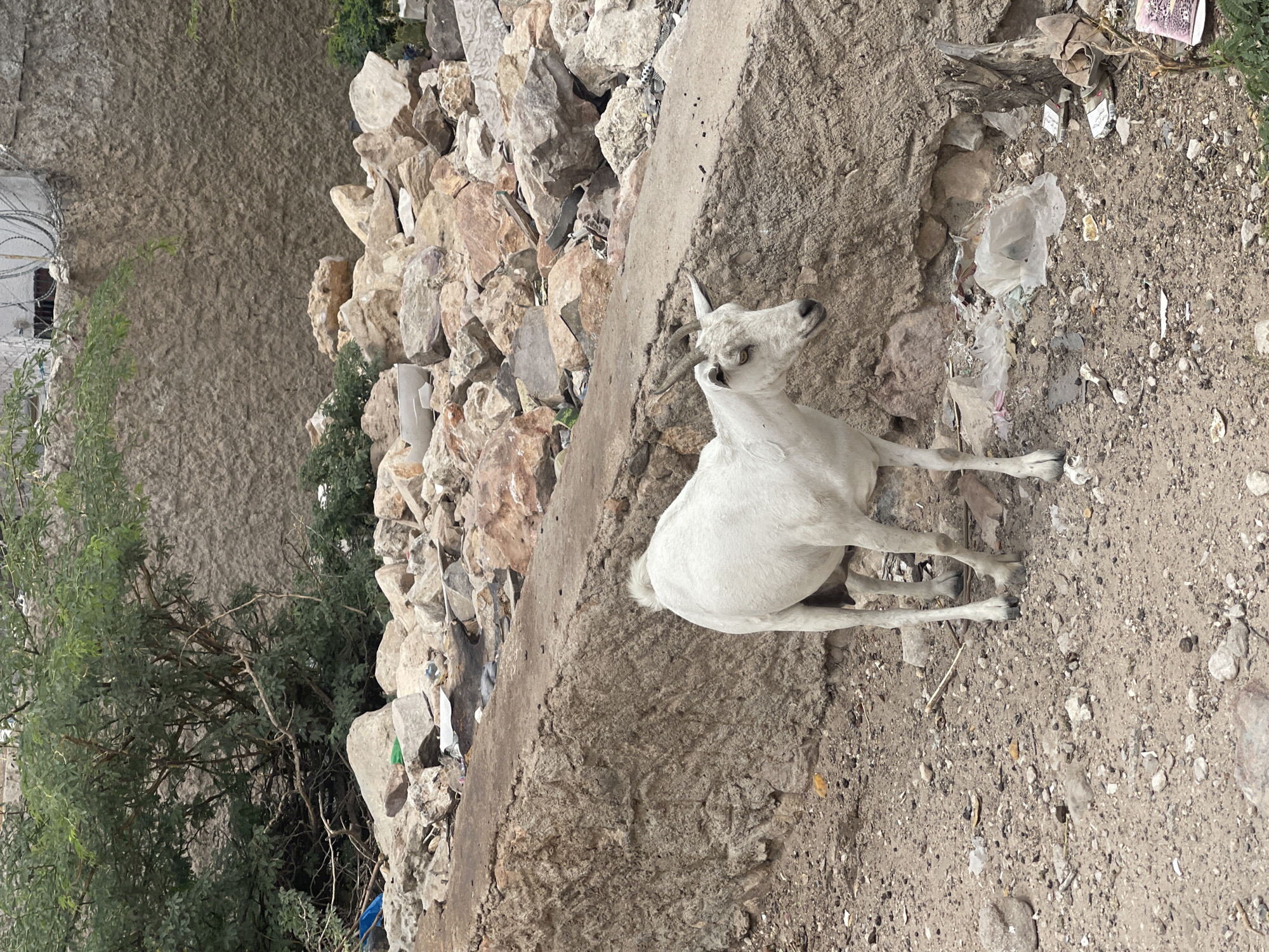 Hargeisa, Somaliland