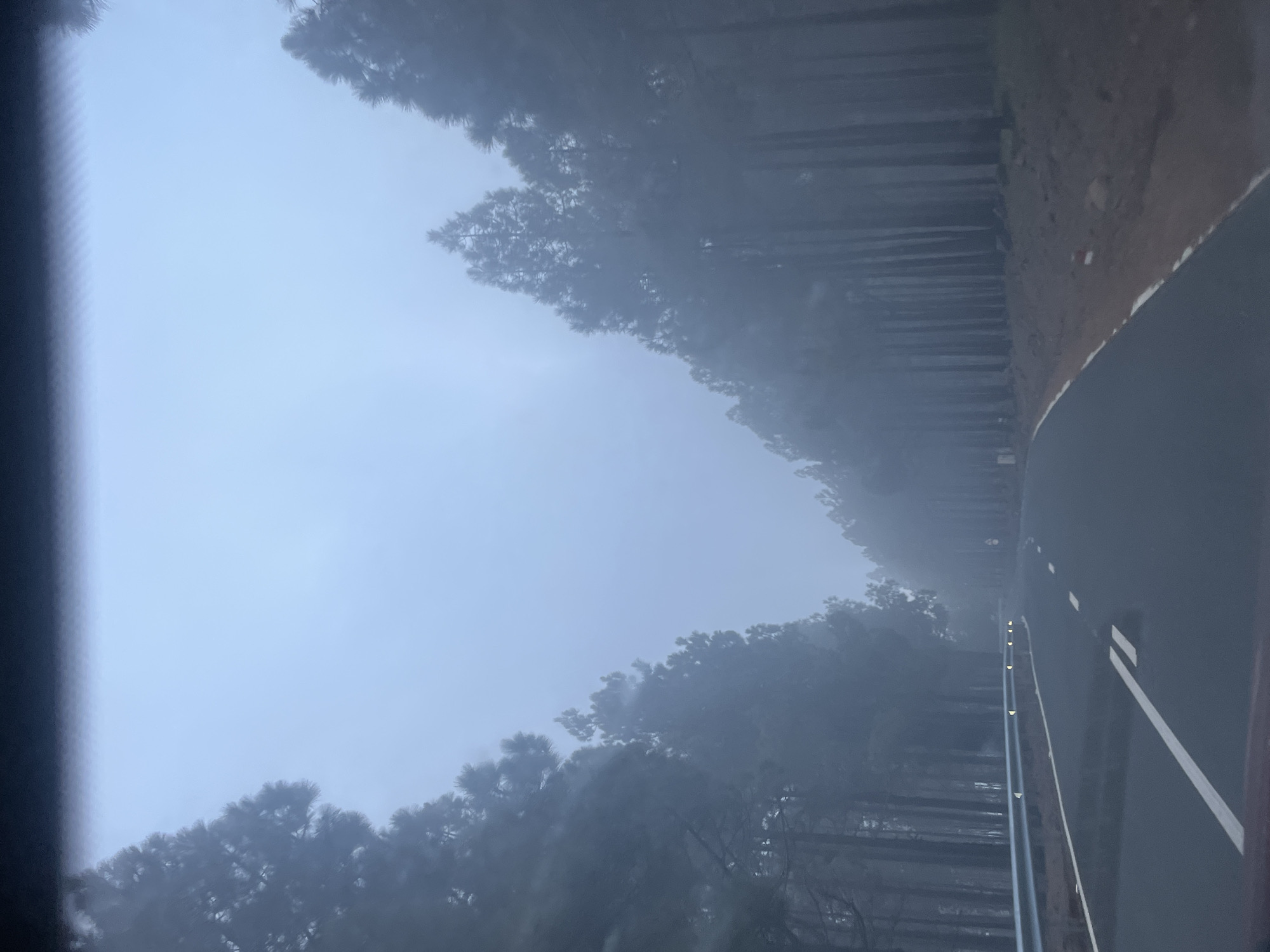 Foggy conditions observed on Agüimes roadway, Spain