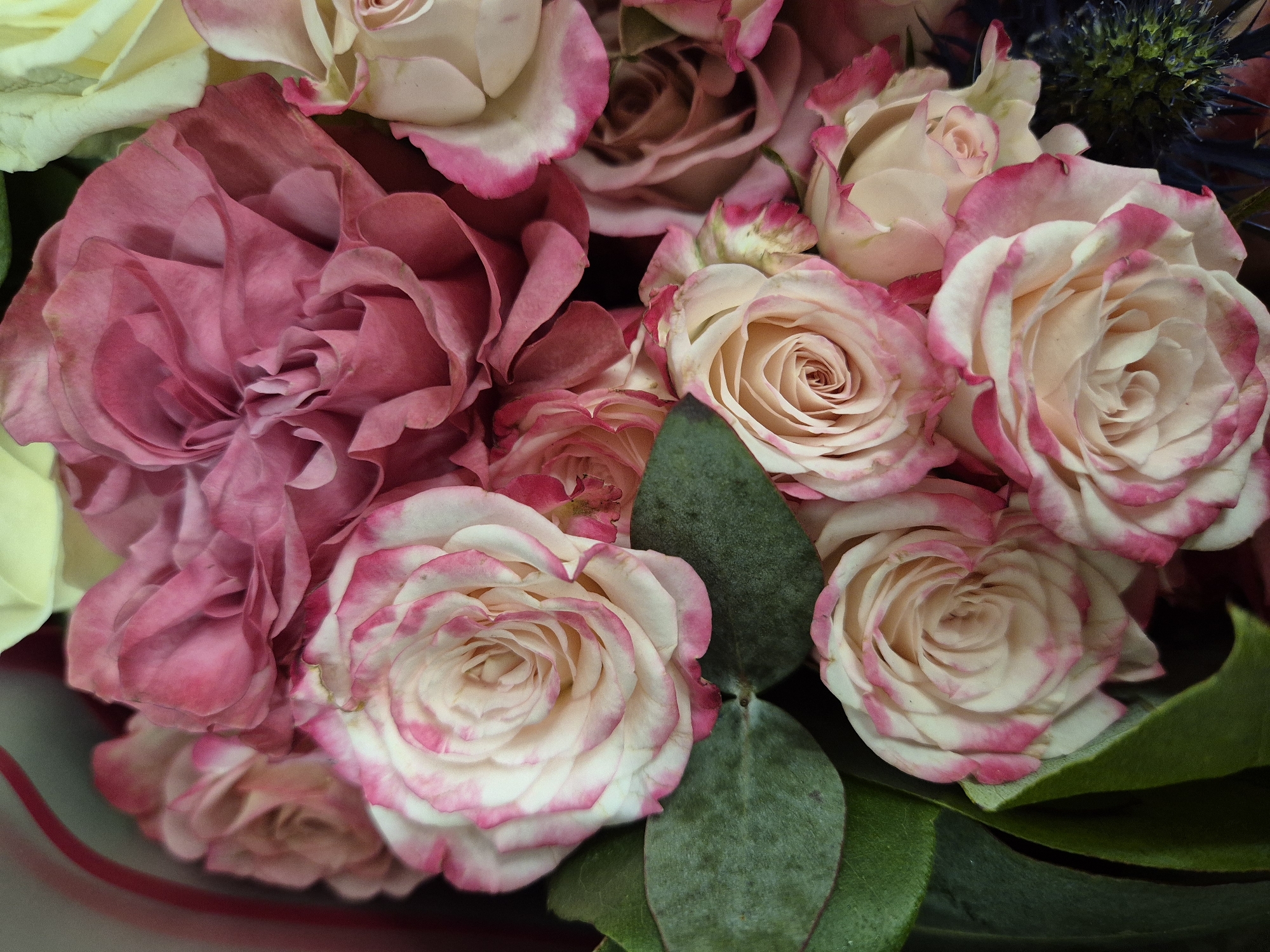 Close-up flower bouquet photographs captured in West Suffolk morning