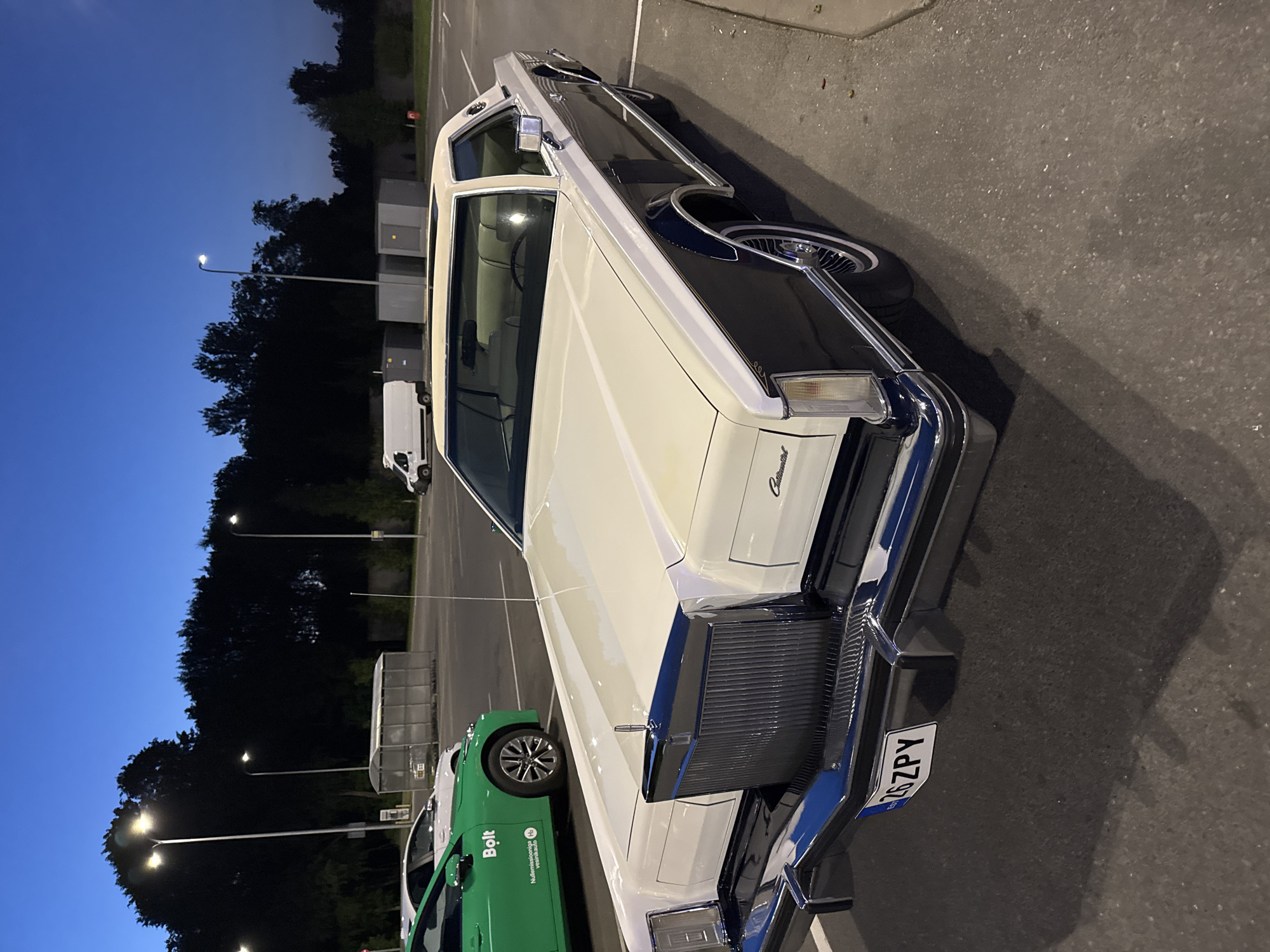 Evening browse through Tallinn garden center and vintage car spotting