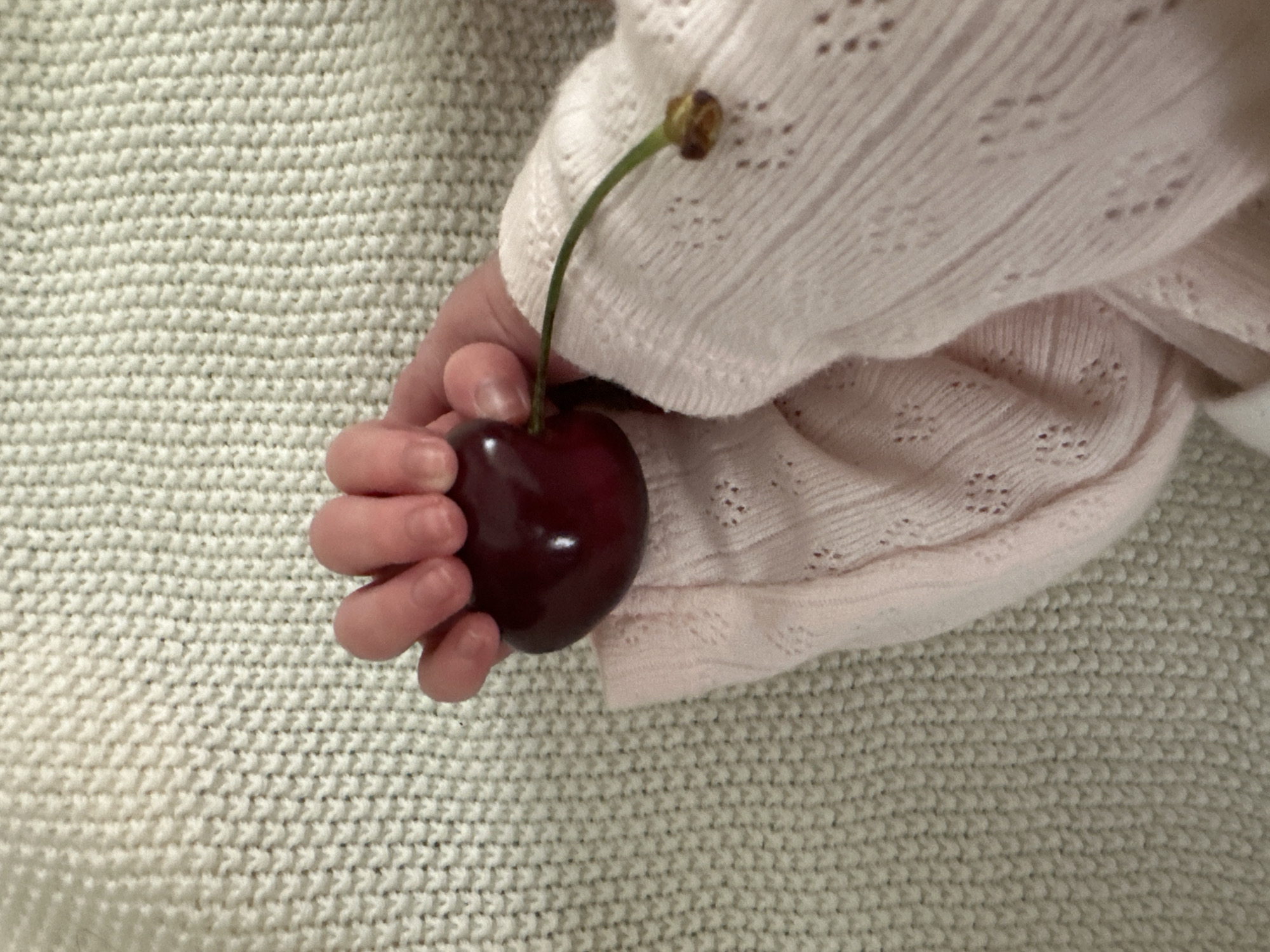 Baby discovers cherry on knitted surface in Wisła